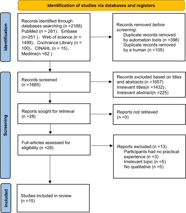 Exploring the experience and needs of telerehabilitation in patients with spinal cord injury: a systematic review and thematic synthesis of qualitative research