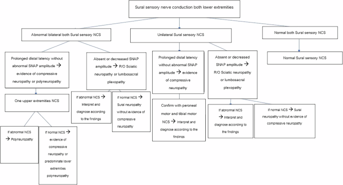 Prevalence, characteristics, and associated factors of abnormal sensory nerve conduction study of sural nerve in patients with traumatic spinal cord injury: a cross-sectional study