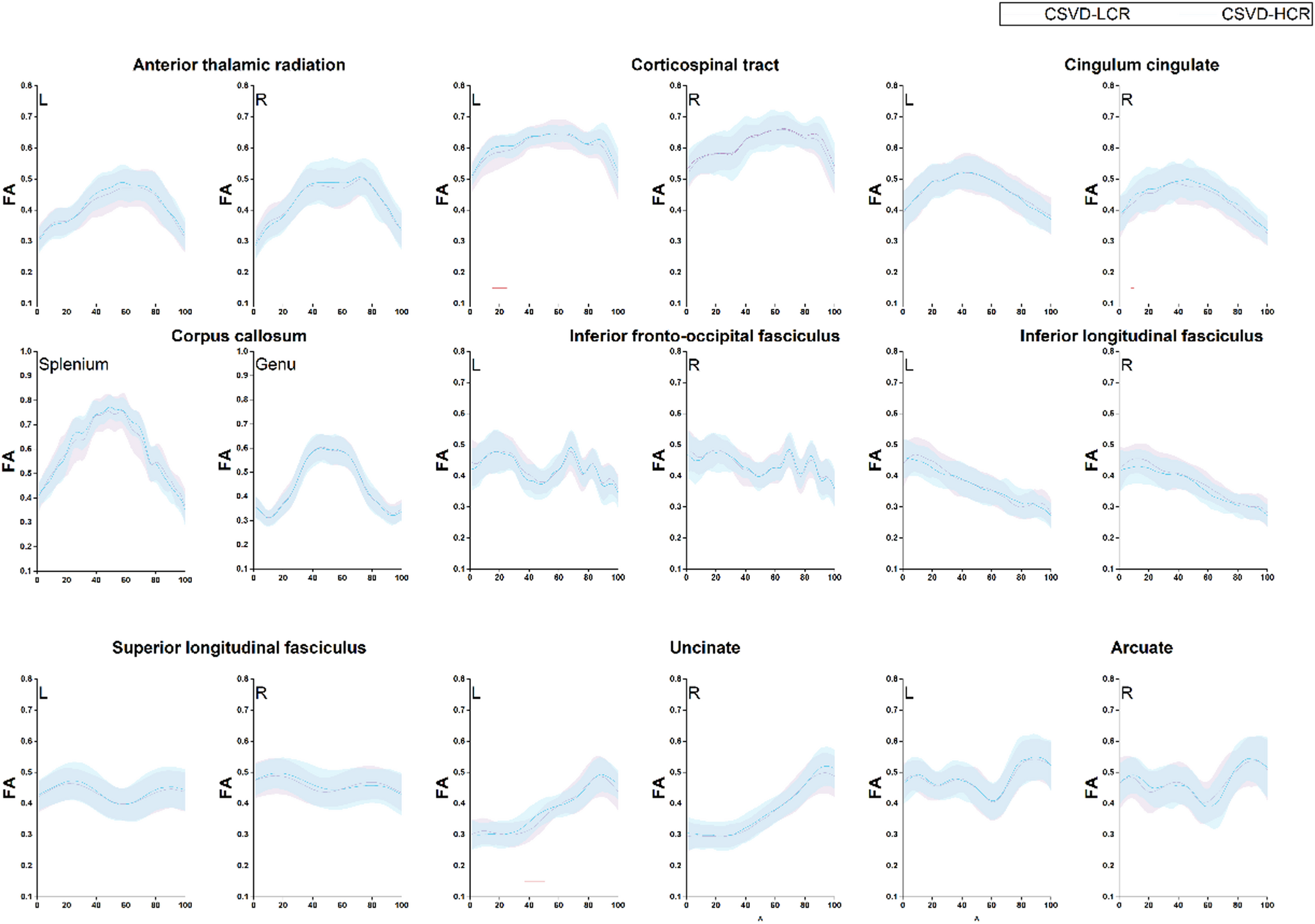 Cognitive reserve mitigates cognitive impairment in cerebral small vessel disease by protecting white matter fibers: an automated fiber quantification study