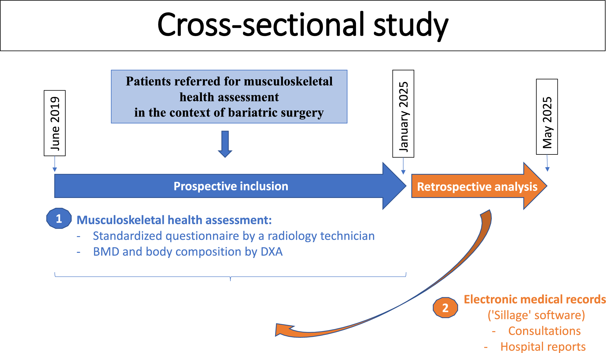 Bone Health and Anti-Osteoporotic Medication Eligibility in Postmenopausal Women Undergoing Bariatric Surgery: The Impact of Age and Modifiable Risk Factors