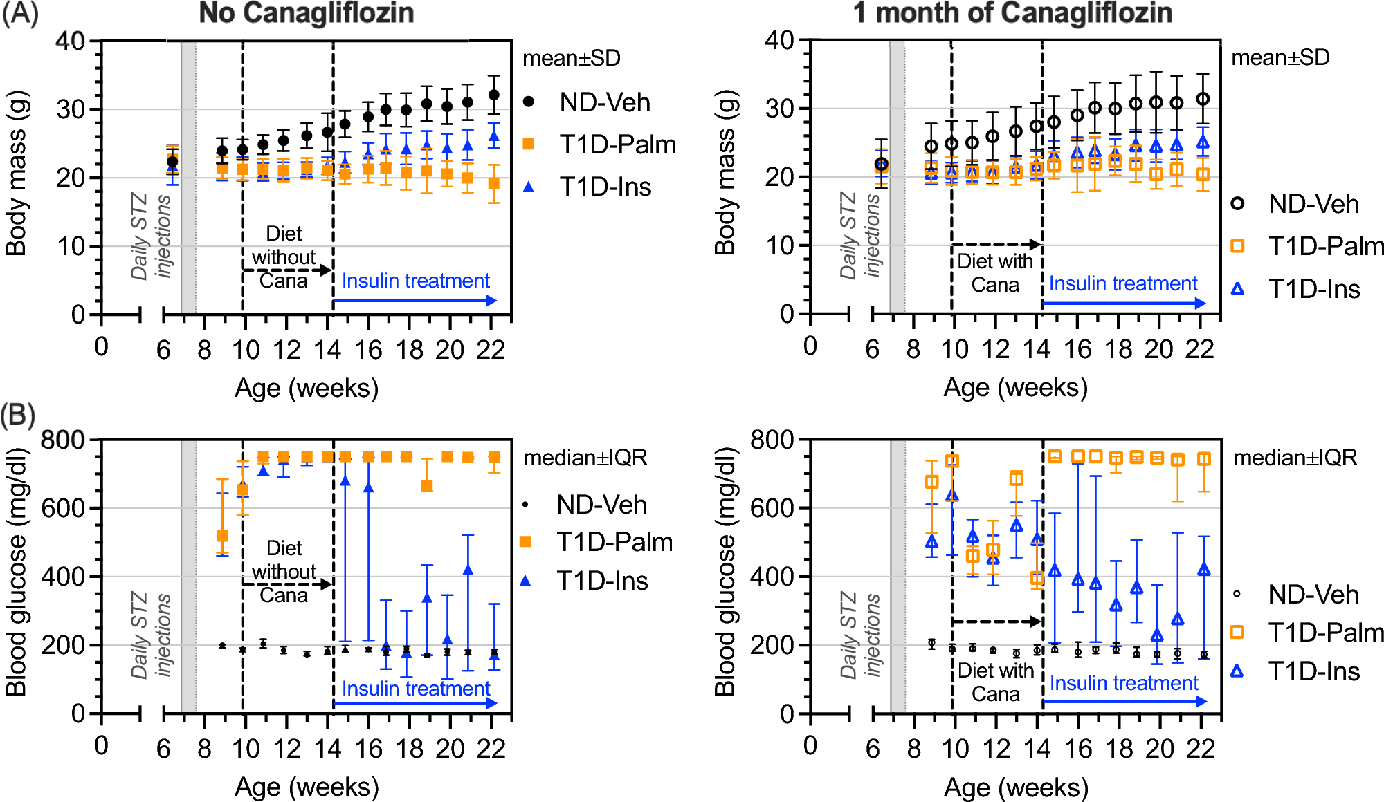 Effect of Canagliflozin Pretreatment on the Efficacy of Insulin Therapy to Rescue Type 1 Diabetes-Related Bone Fragility in Male Mice