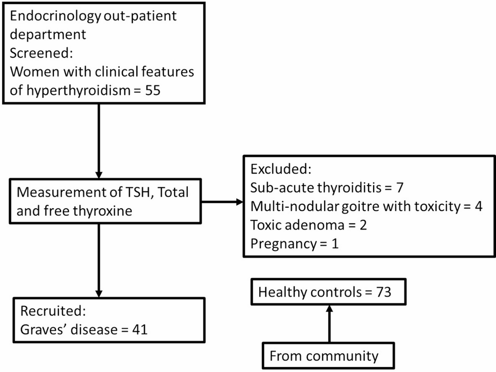Women with Graves’ Disease Have Altered Proximal Hip Geometry, Trabecular Bone Score and Body Composition Parameters: A Case–Control Study from Southern India