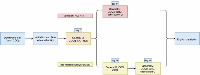 Health status in patients with limited health literacy; development and validity of the Clinical COPD Questionnaire graphic (CCQg)