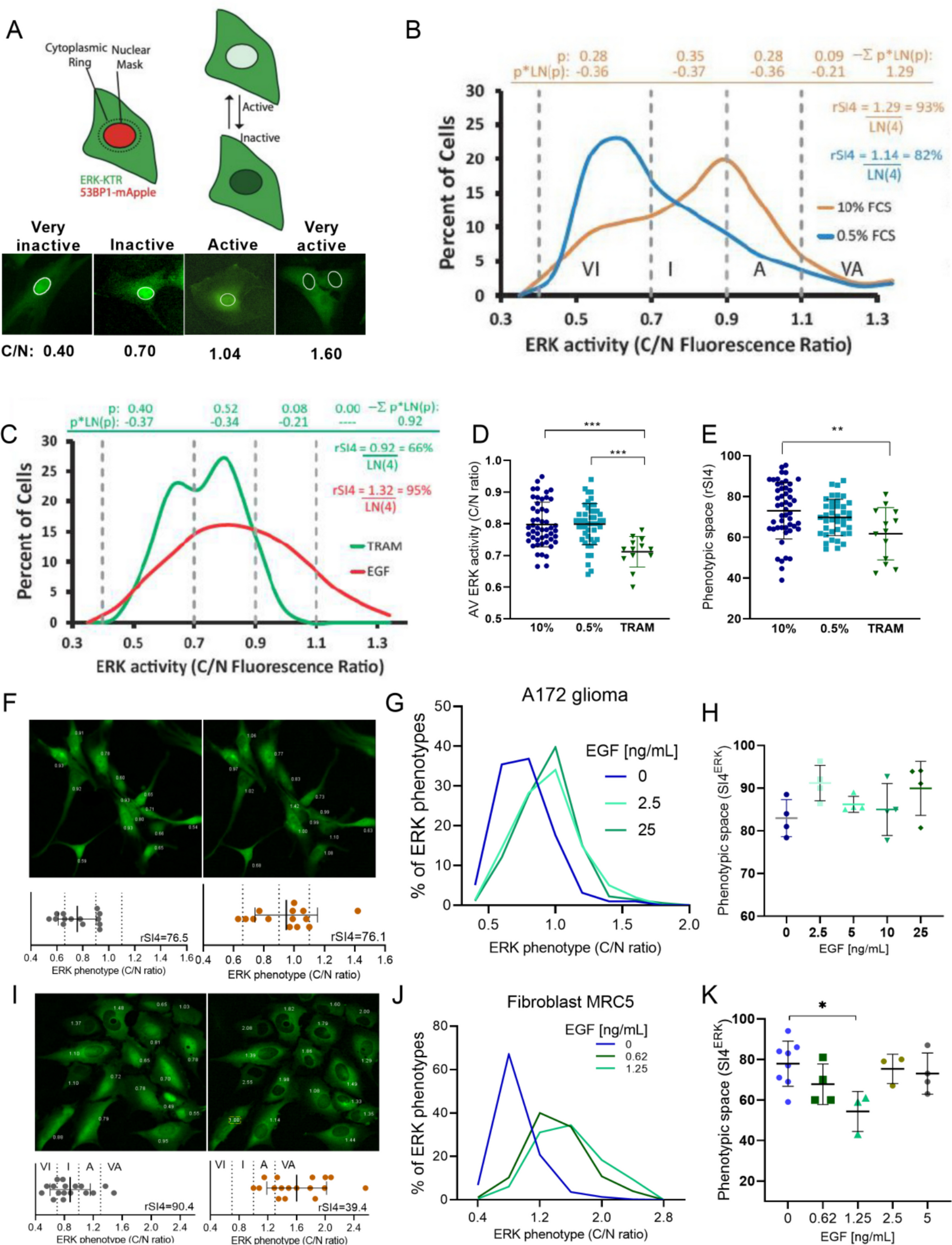 Temozolomide increases the generation of cell heterogeneity in ERK activity in glioma cells