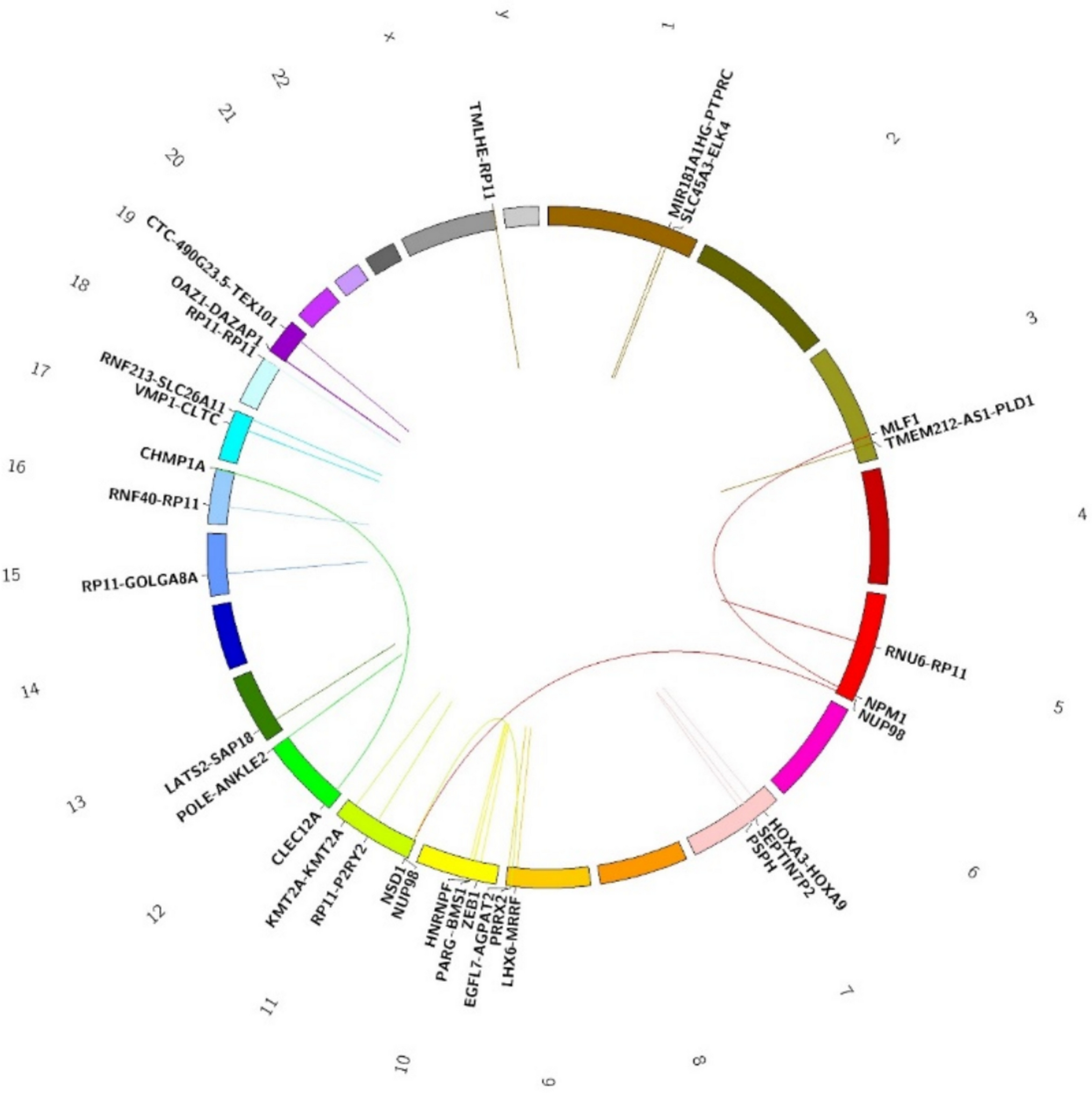 Identification of cryptic KMT2A-PTD and other novel fusion genes by transcriptome sequencing alters molecular risk stratification in AML-NK
