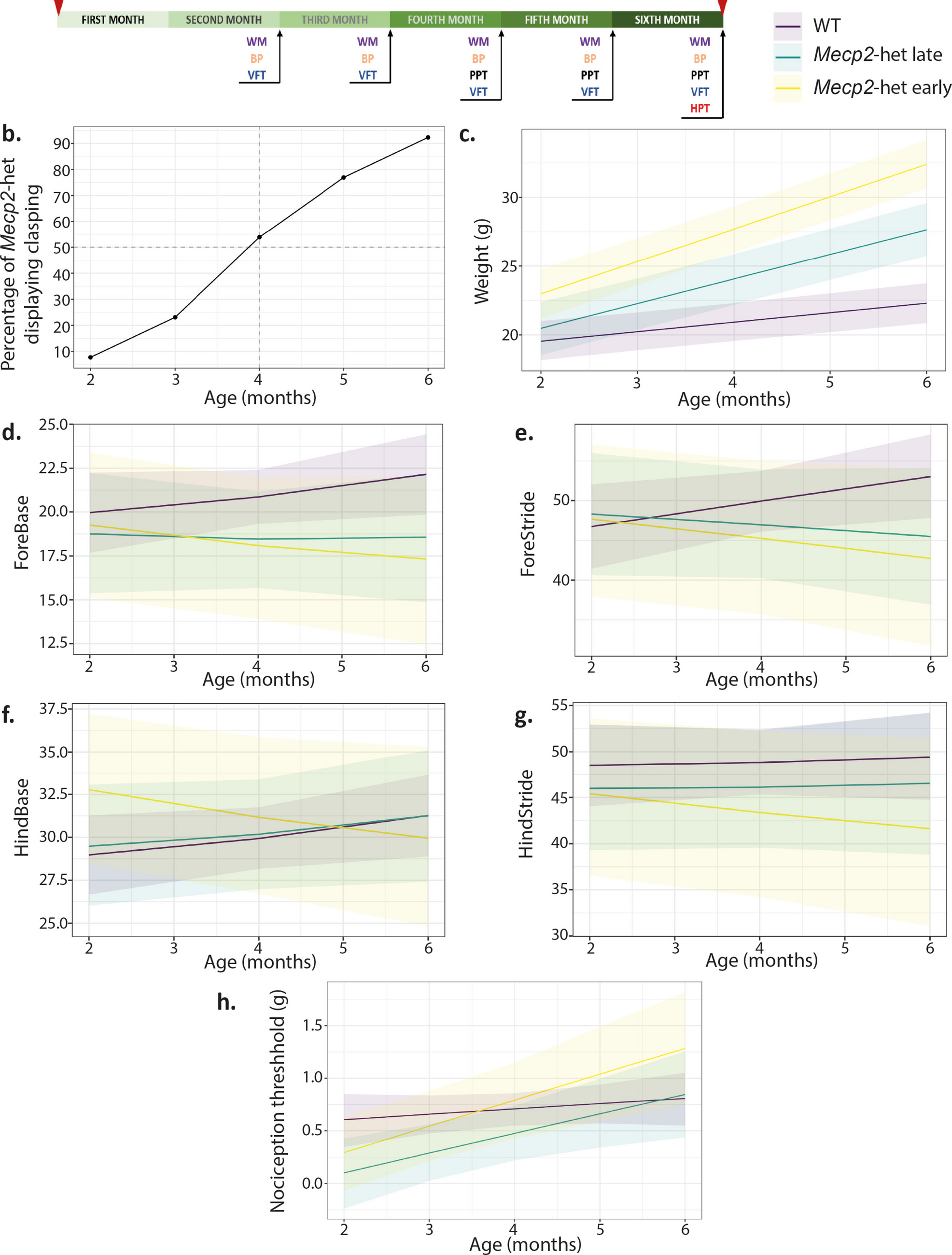 Longitudinal analysis in -het female mice reveals atypical nociceptive behaviours