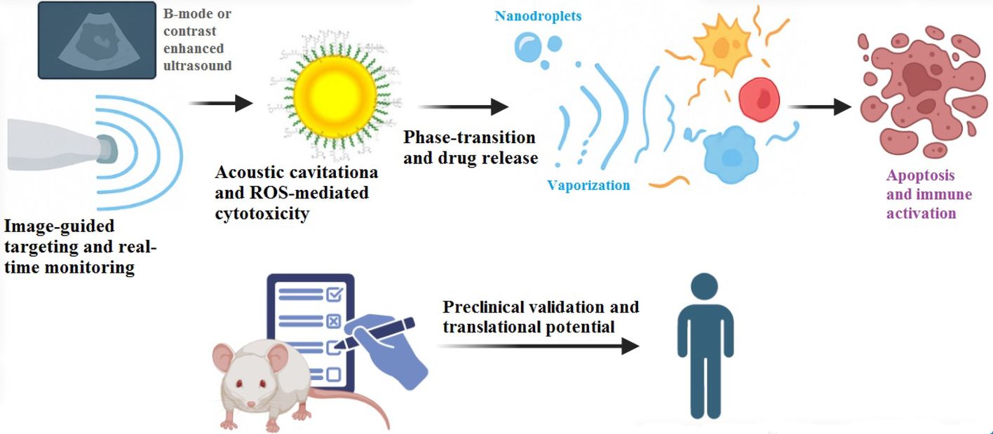 Theranostic potential of ultrasound-guided sonodynamic therapy for cancer: a systematic review of preclinical studies