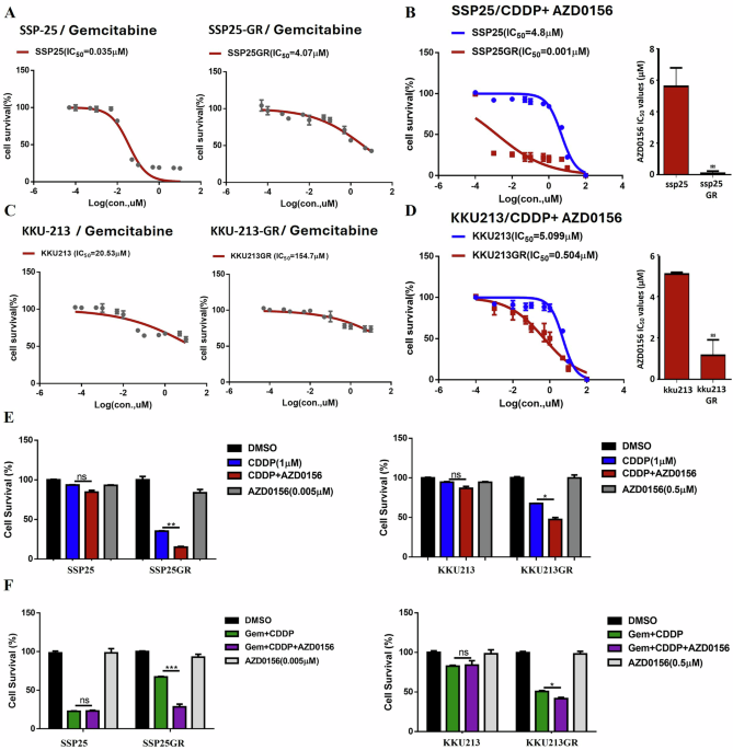 Ataxia-telangiectasia mutated kinase inhibition overcomes gemcitabine resistance in intrahepatic cholangiocarcinoma via DNA ligase I-dependent repair vulnerability