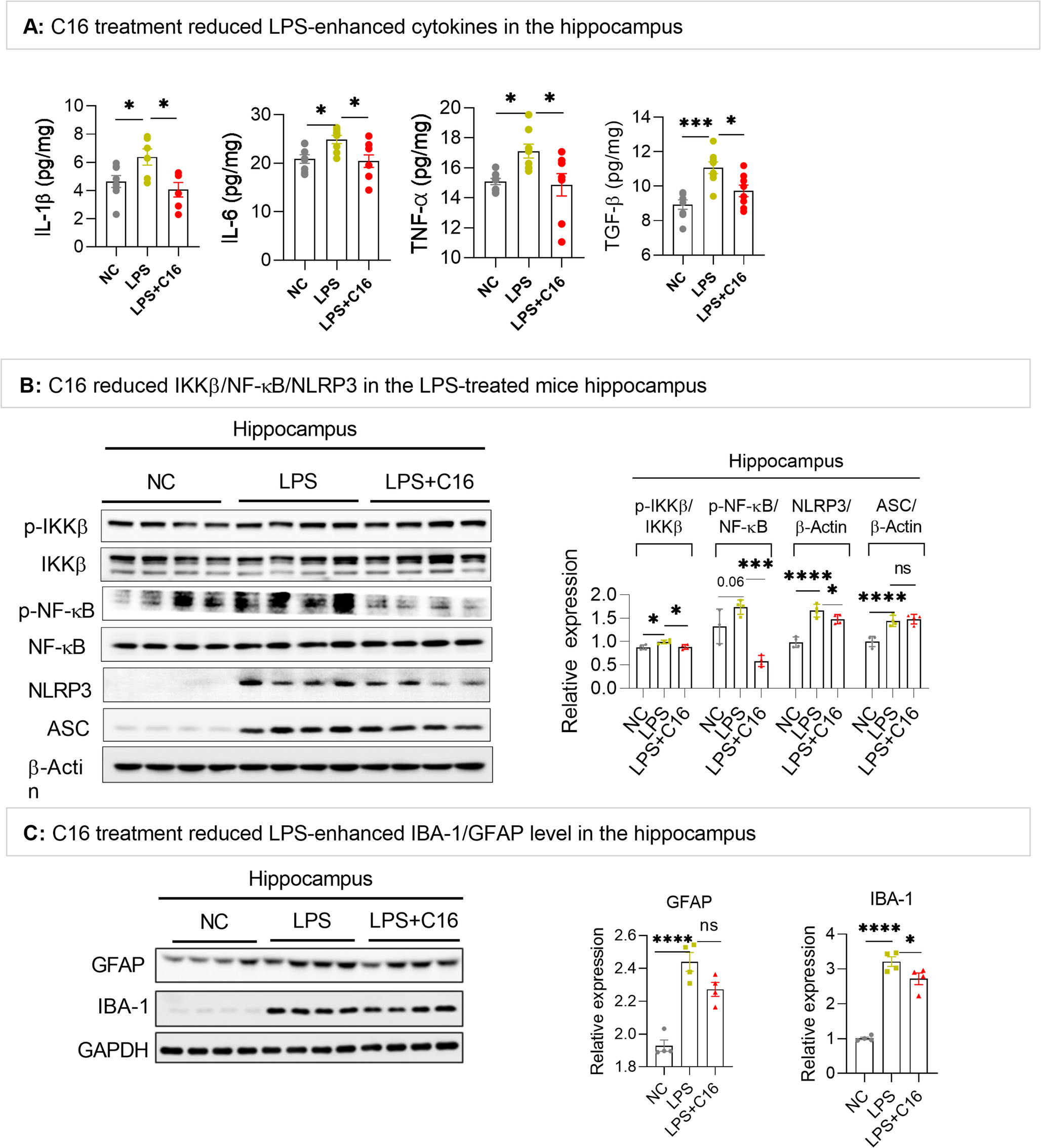 Correction: PKR Inhibition Prevents Neuroinflammation and Rescues Depressive‑Like Behaviors Via BDNF/TrkB Signaling