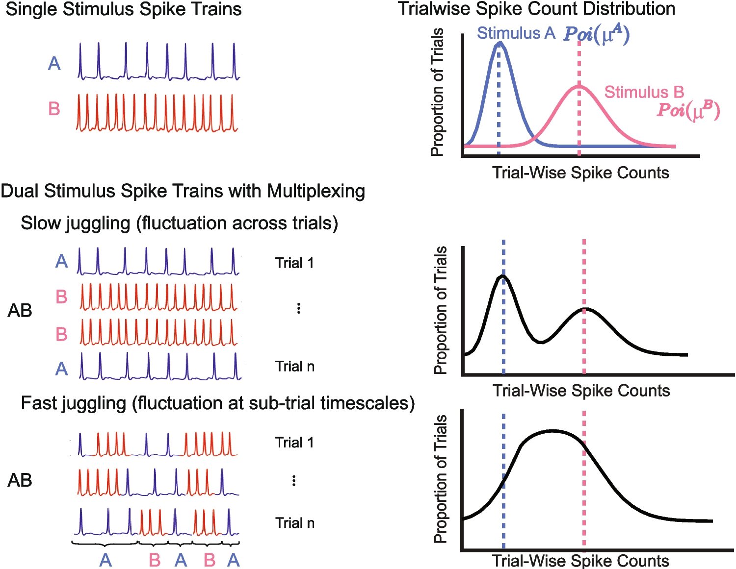 Spike count analysis for multiplexing inference (SCAMPI)