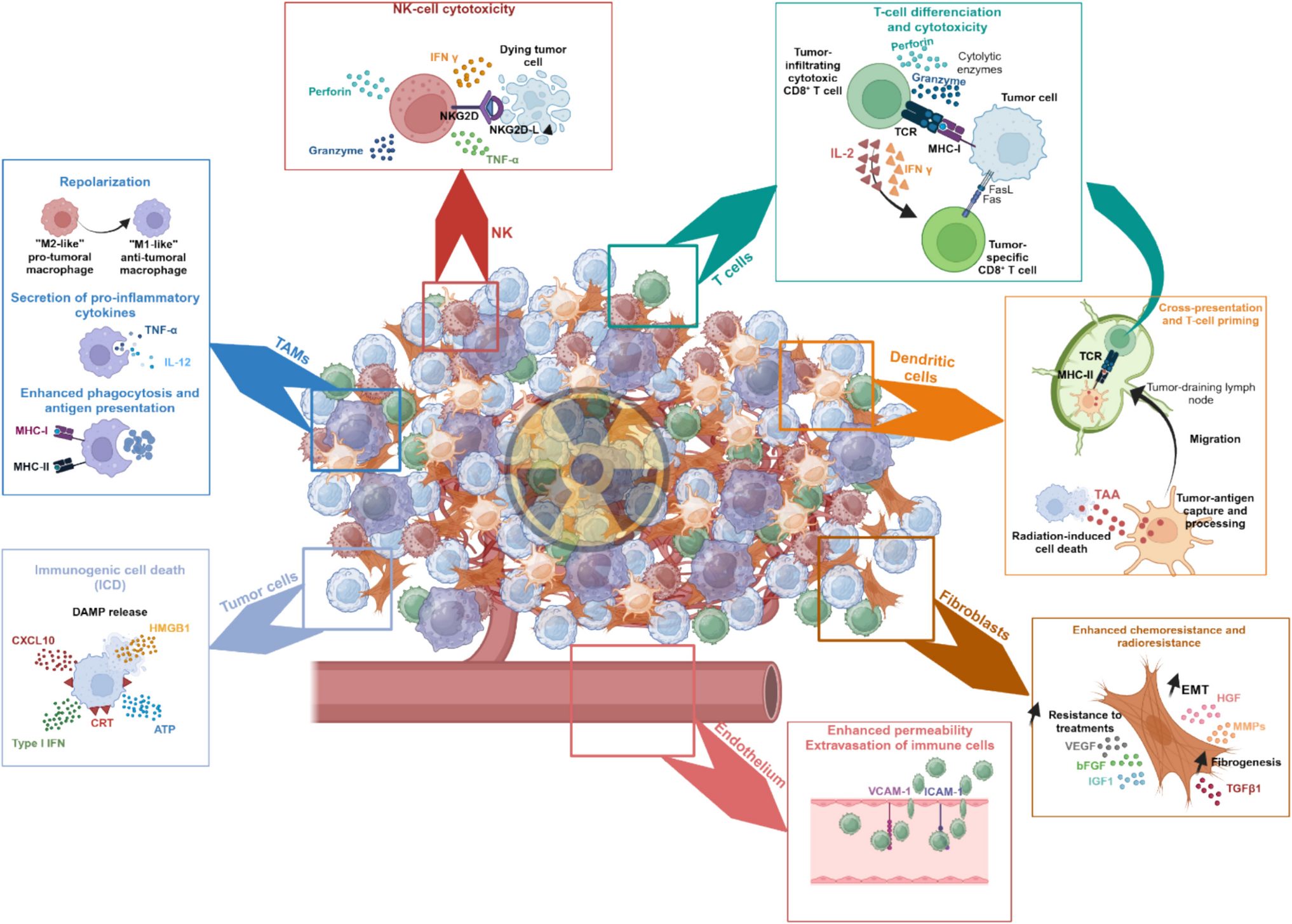 Towards a personalized utilization of stereotactic body radiotherapy for the management of liver metastases in solid tumors
