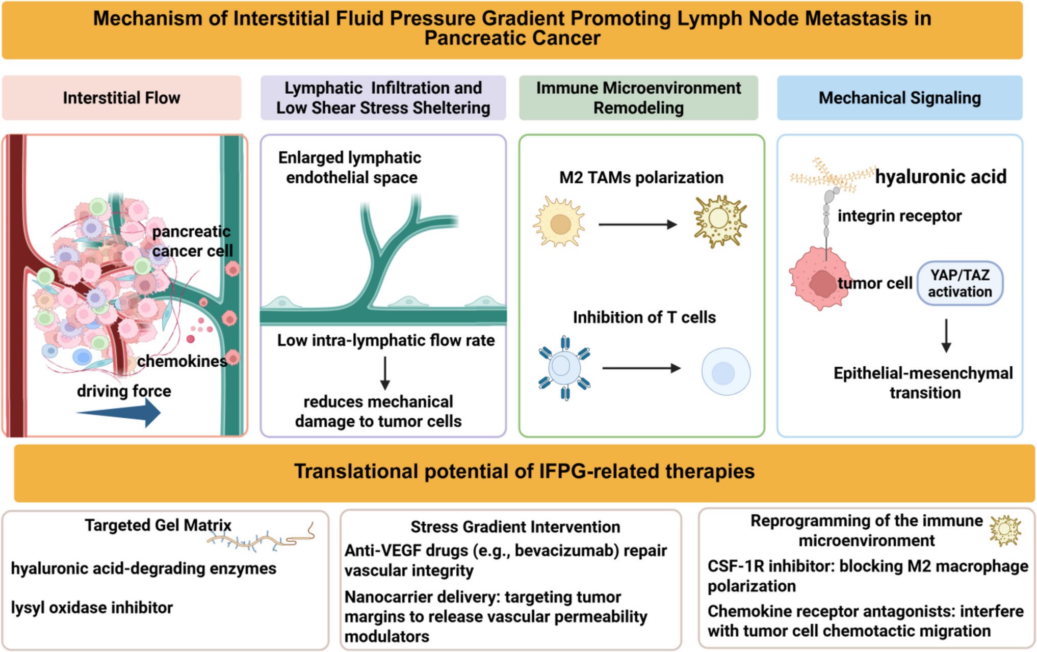 Lymphatic metastasis in pancreatic cancer: from bedside to bench and back