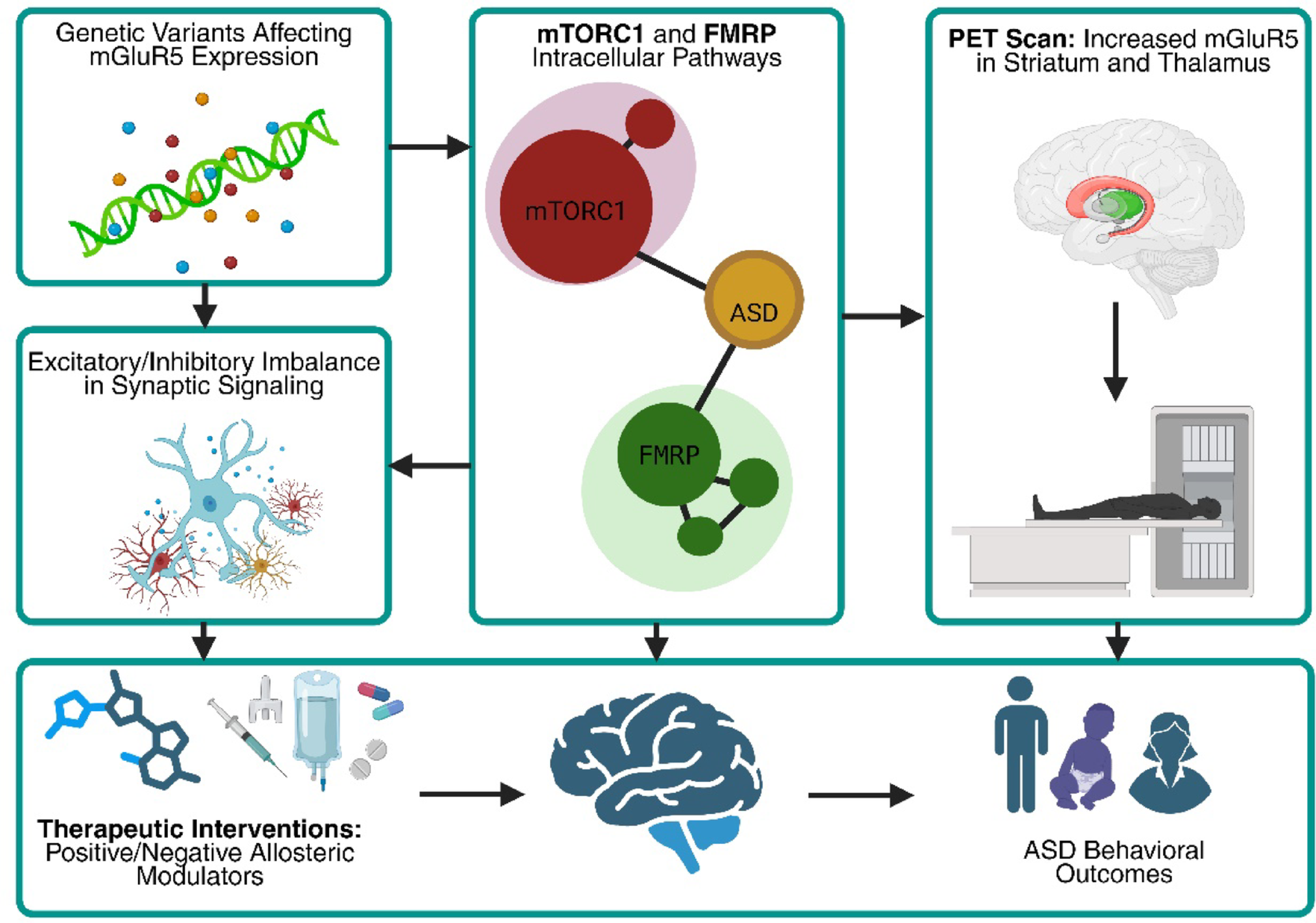 Unraveling mGluR5 dysfunction in autism spectrum disorder: a multi-level analysis of genetic, molecular, and neurobiological mechanisms