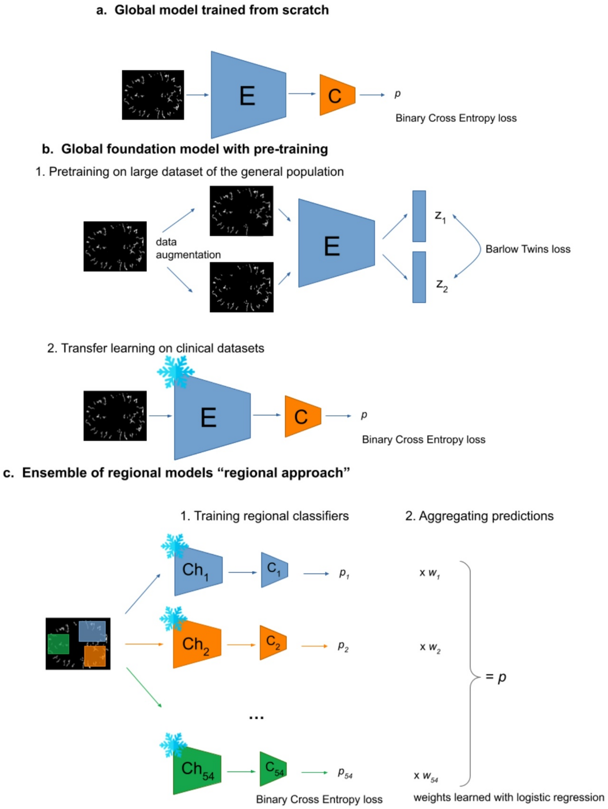 Decoding cortical folding with deep learning: toward neurodevelopmental biomarkers of psychiatric disorders