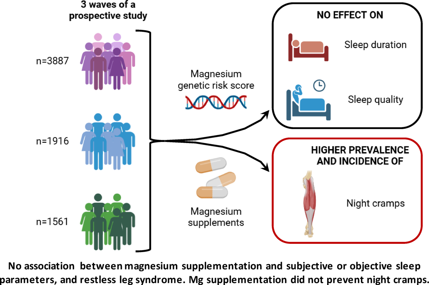 Magnesium supplements, sleep quality, and nocturnal leg cramps: a combination of cross-sectional and prospective studies