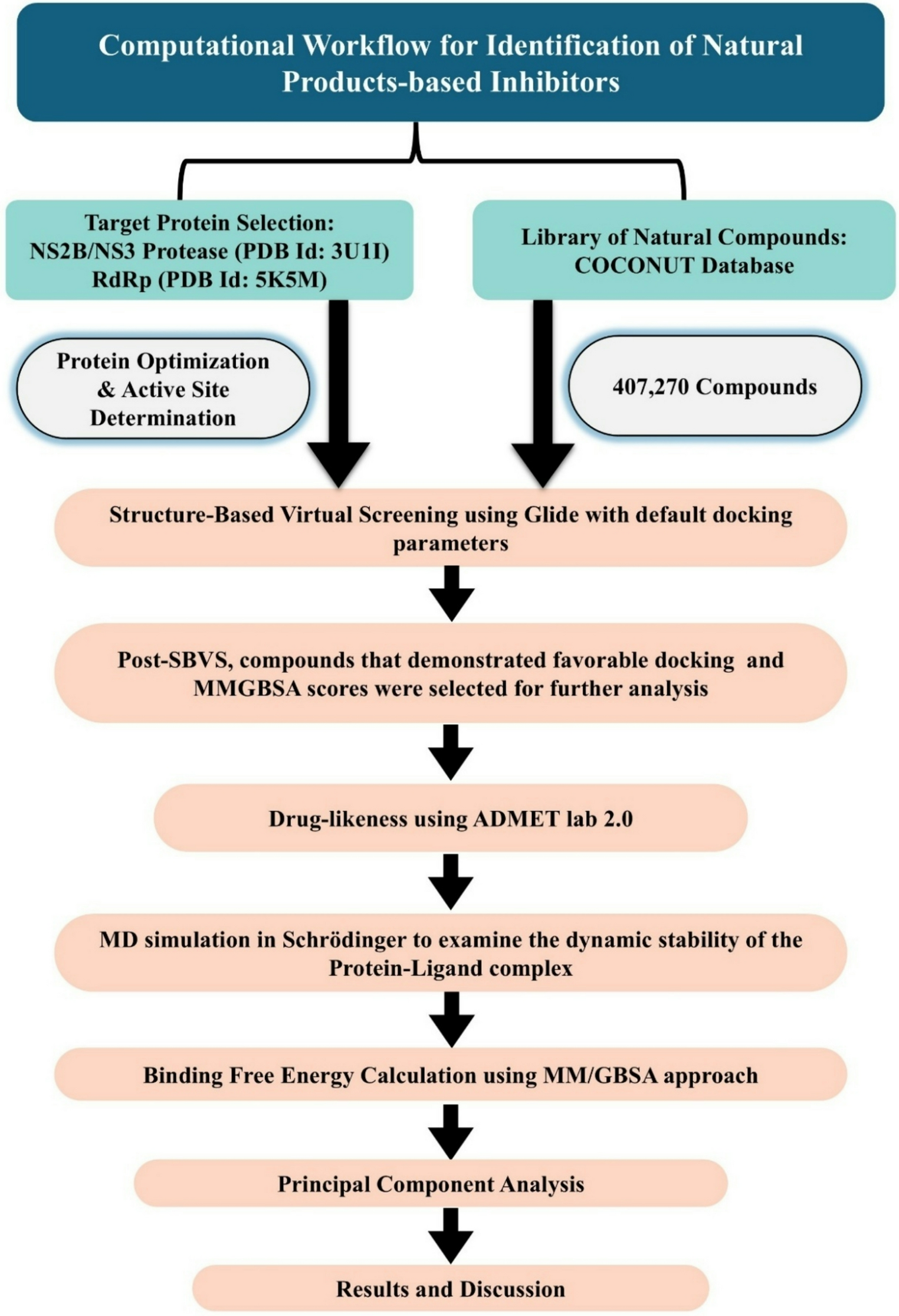 Identification of Natural Product-Based Inhibitors for DENV NS2B/NS3 Protease and RNA-Dependent RNA Polymerase Through Molecular Modelling and Simulation