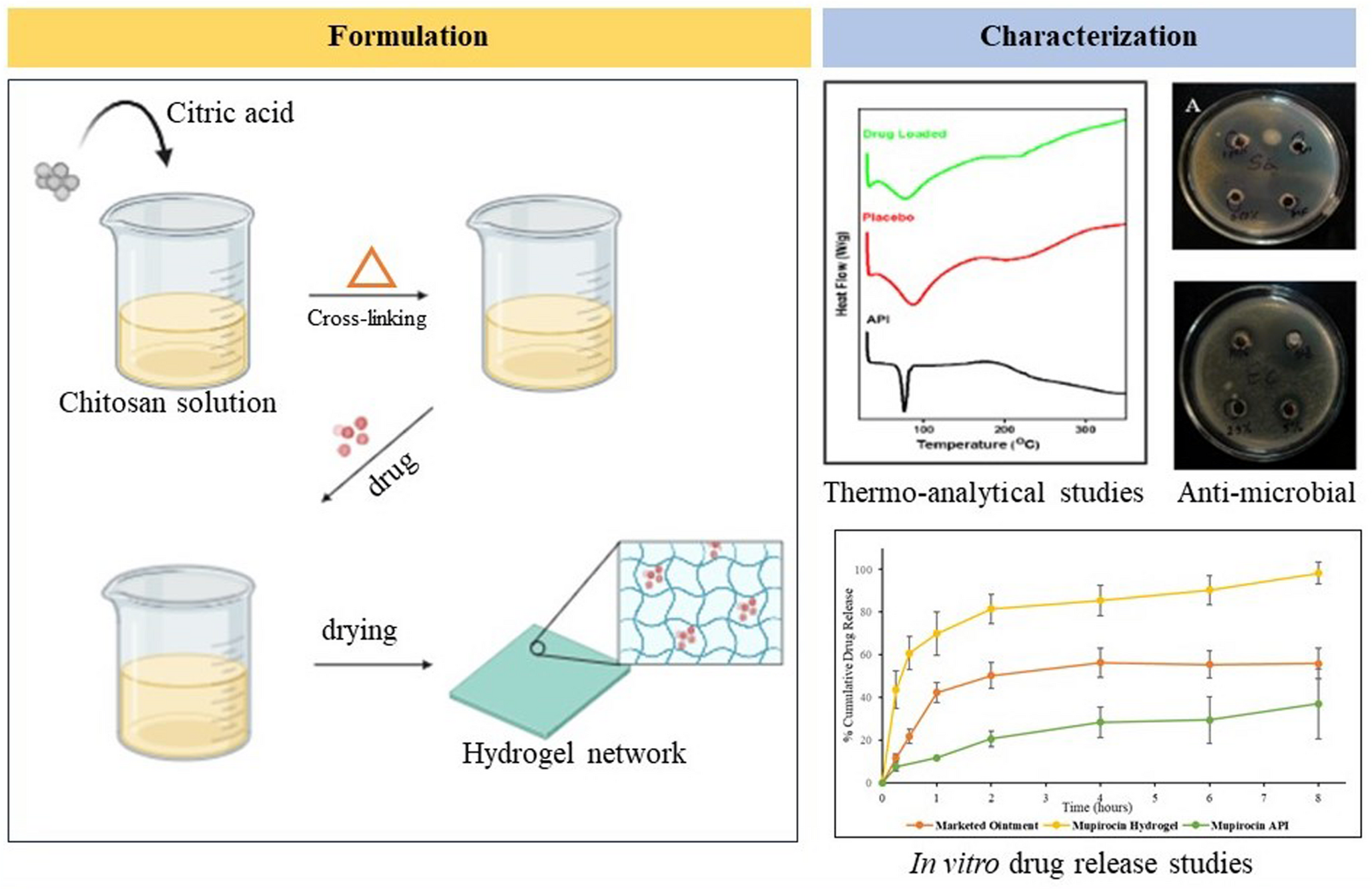 Next-Generation Mupirocin Hydrogel Dressings for Superior Antimicrobial Action