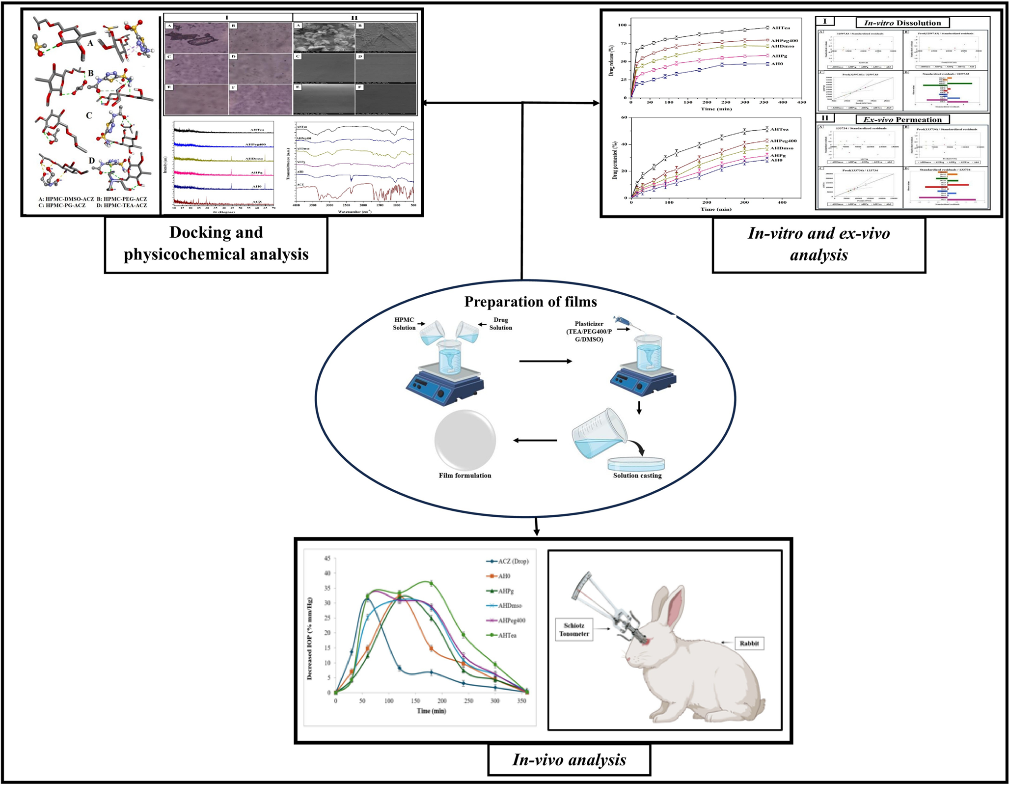 Design and Molecular Insight into Plasticized HPMC Ocular Films for Sustained Acetazolamide Delivery in Glaucoma Management