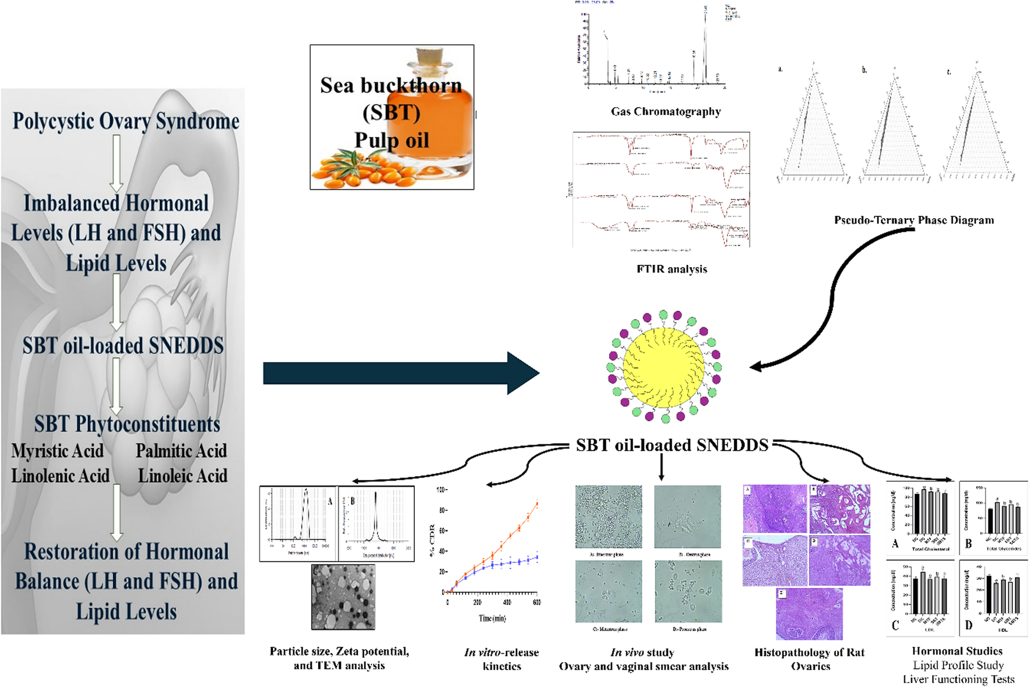 Development and Evaluation of Sea Buckthorn Oil-Loaded SNEDDS for Hormonal and Lipid Regulation in PCOS