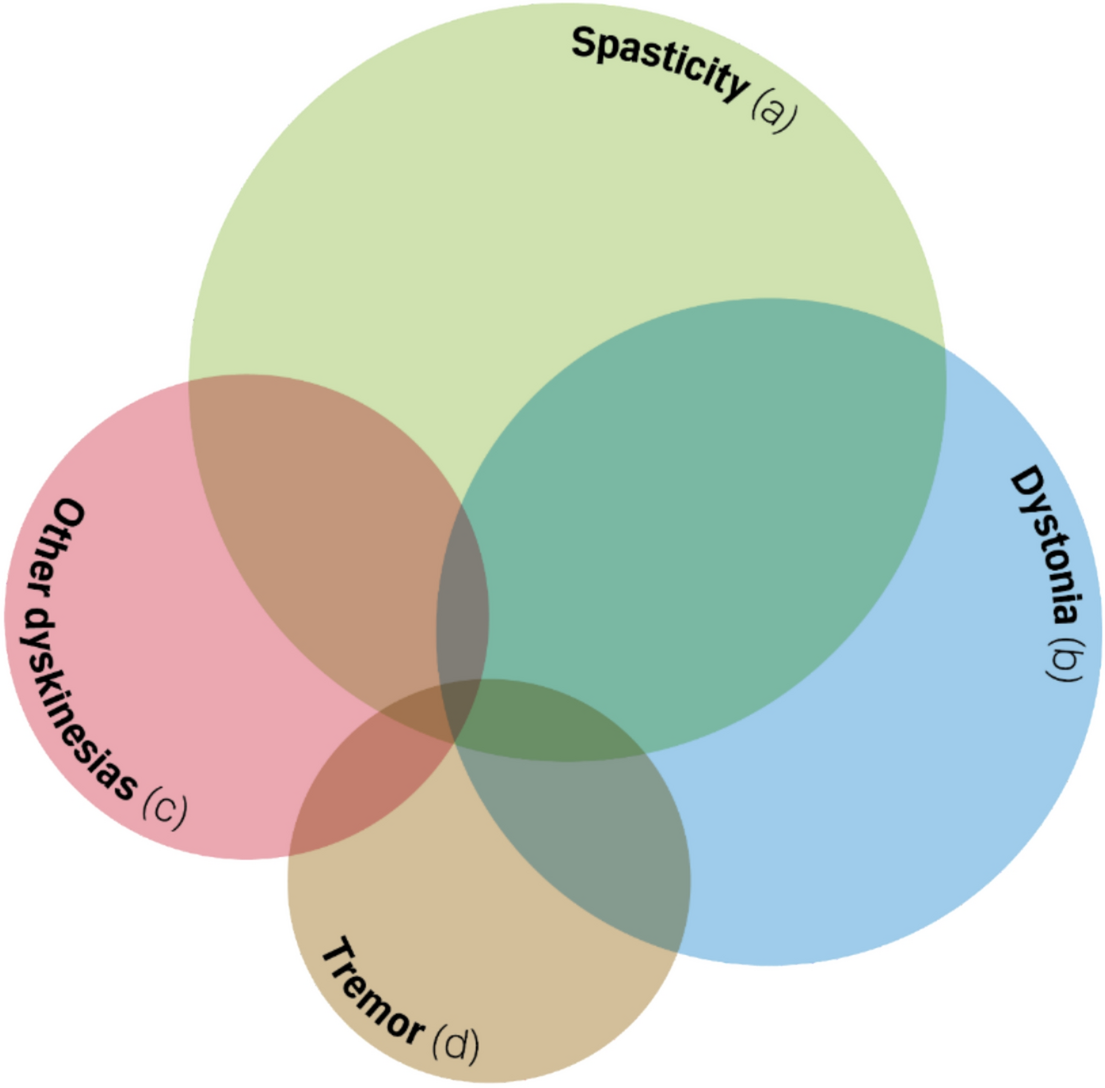A phenomenological approach to spastic movement disorders: an international expert panel consensus
