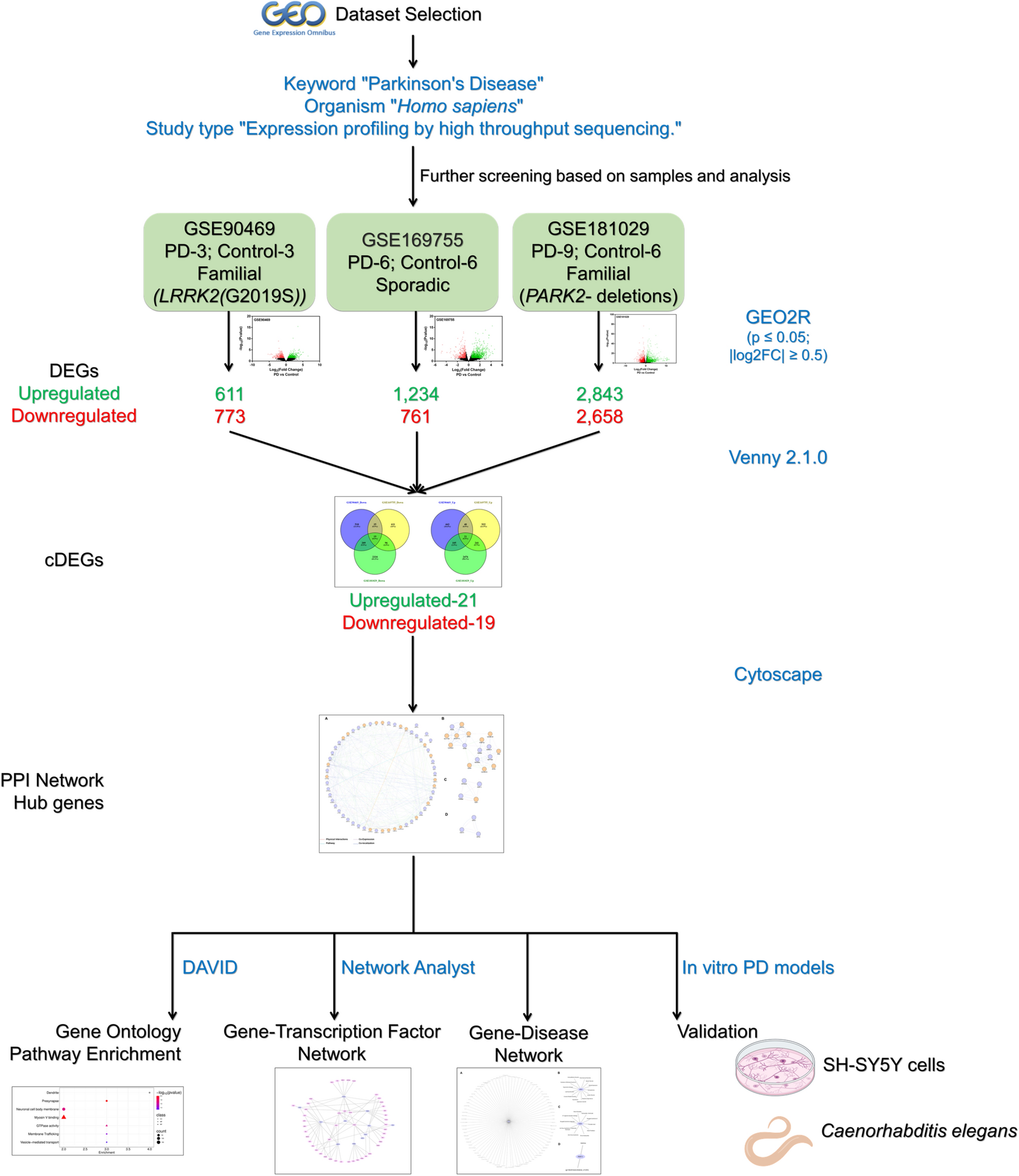 Unraveling the core: hub genes bridging familial and sporadic Parkinson’s disease