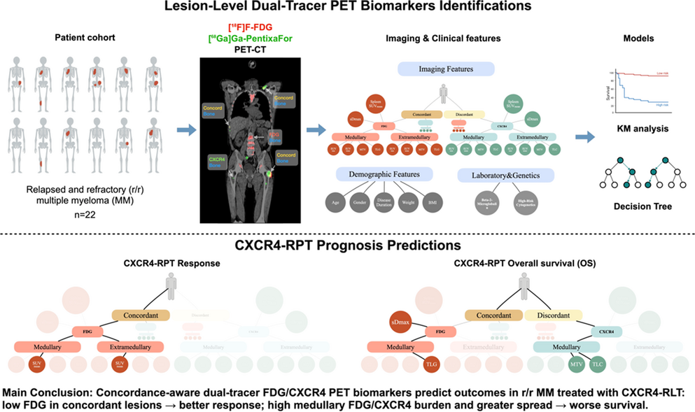 Lesion-level dual-tracer PET biomarkers predict prognosis in multiple myeloma treated with CXCR4-directed radiopharmaceutical therapy