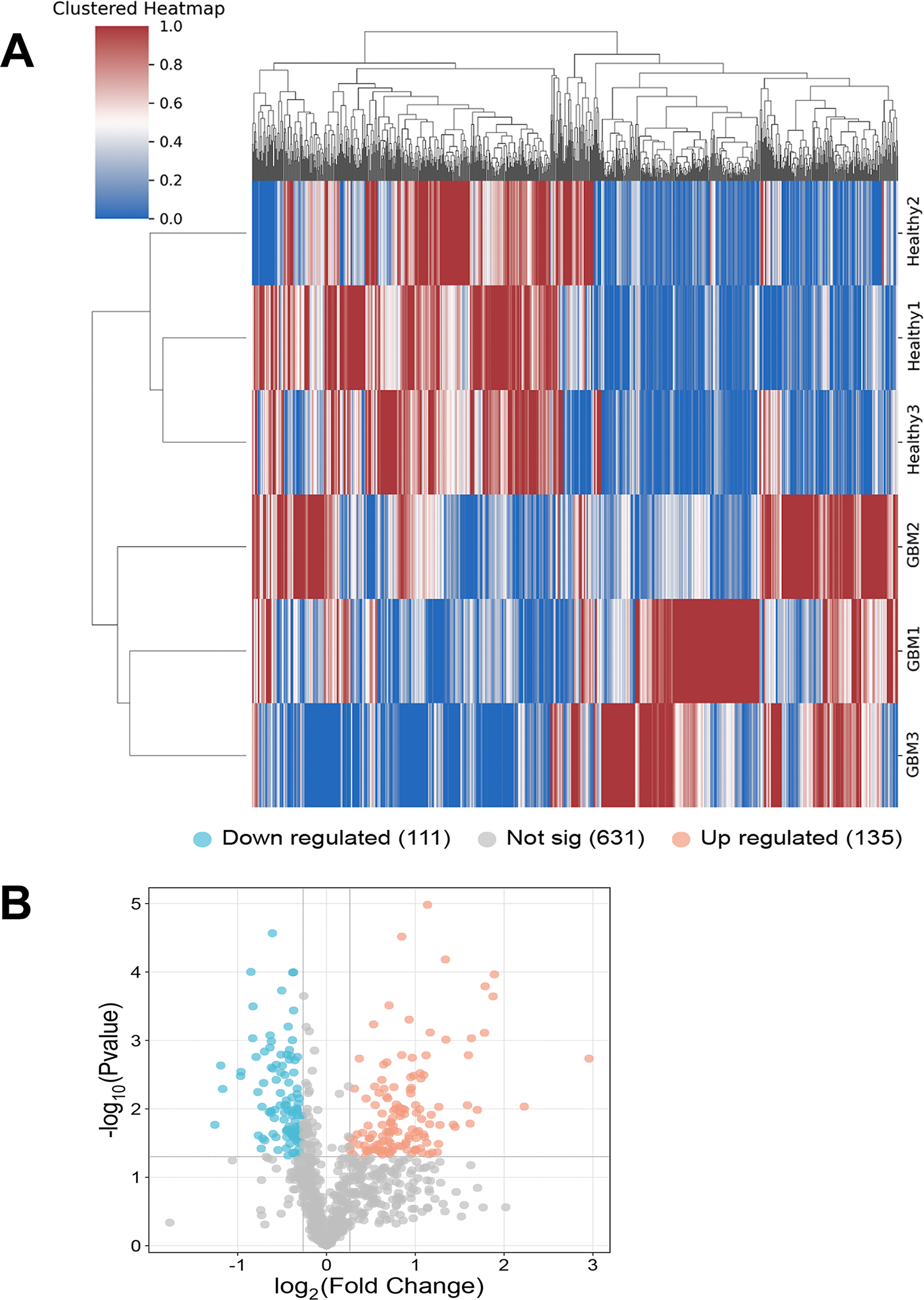 Multiomics integration of serum proteome and autoantibody profiles reveals diagnostic and prognostic biomarkers in glioma