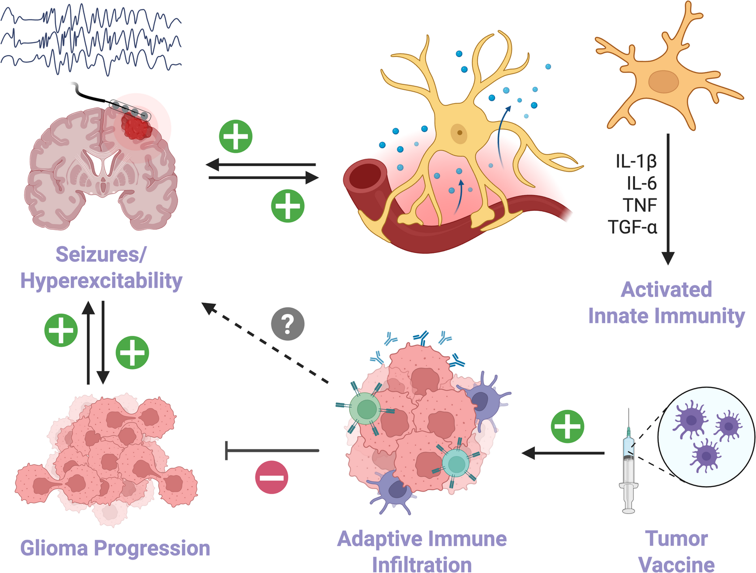Meta-analysis of treatment-emergent seizures in glioma vaccine trials
