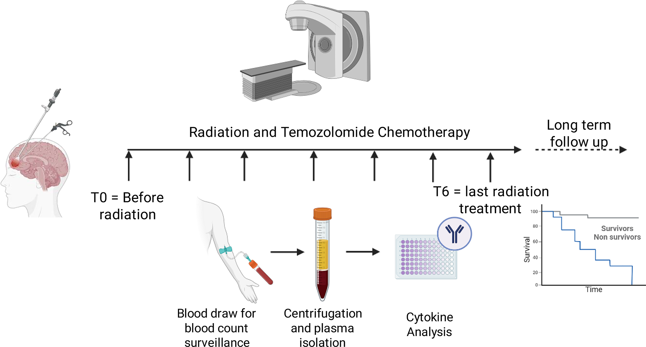 Radiation immunodynamics: association of baseline and longitudinal cytokine levels during radiotherapy in glioblastoma with survival
