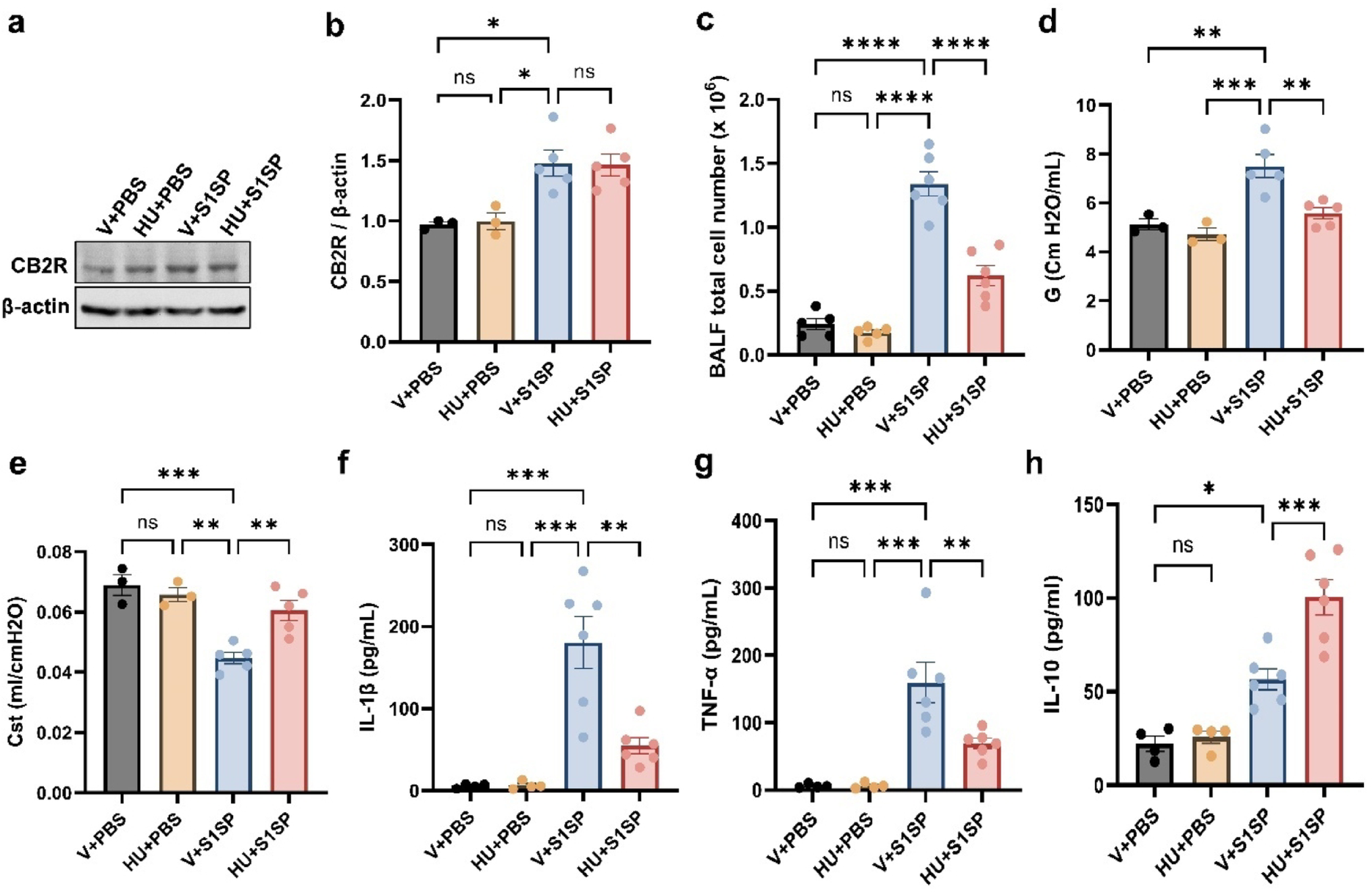 HU308, A Selective Cannabinoid Type-2 Receptor Agonist, Mitigates SARS-CoV-2 Spike Protein–Induced Acute Lung Injury in Mice