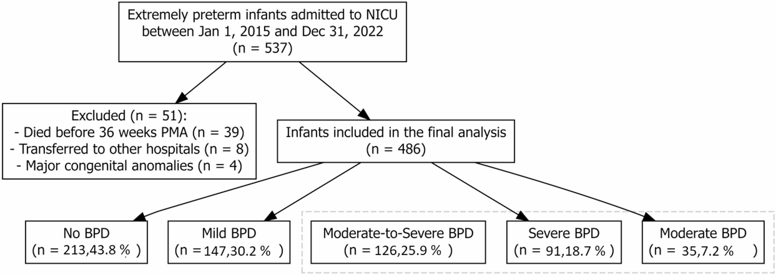 Stratified Comparison of Risk Factors for Mild Versus Moderate-to-Severe Bronchopulmonary Dysplasia in Very Preterm Infants (< 32 Weeks Gestational Age)