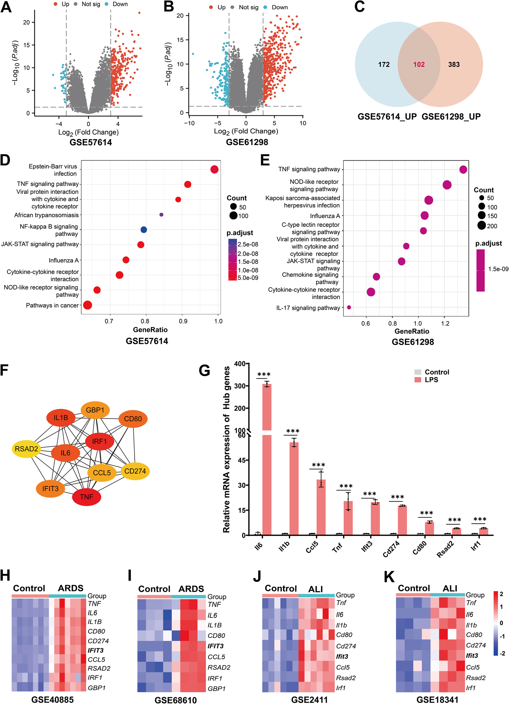 IFIT3 stabilizes STING via USP18 to drive M1 macrophage polarization and early inflammation in acute lung injury