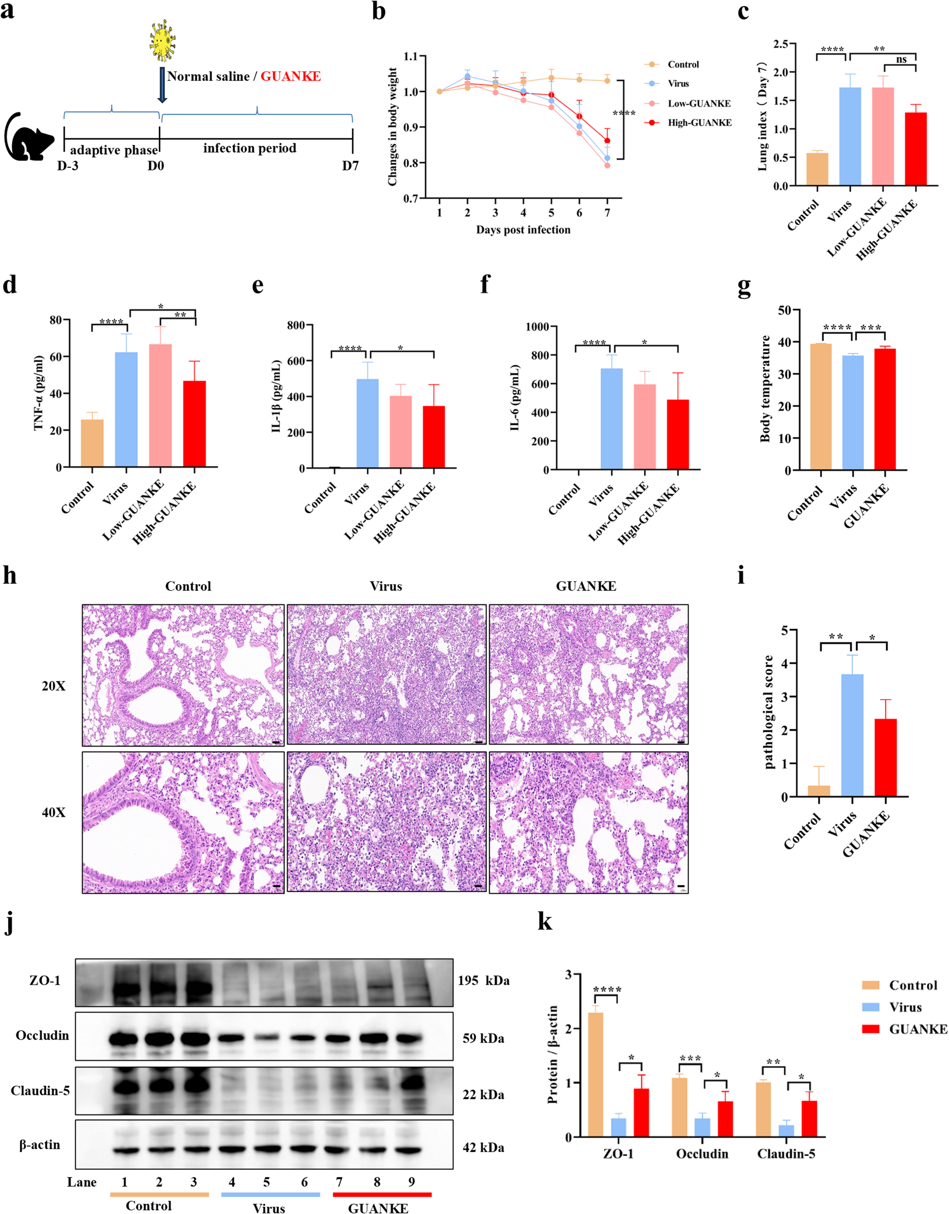 GUANKE ameliorates influenza a virus-induced inflammation and lung barrier dysfunction through enhancing mitophagy and improving oxidative phosphorylation