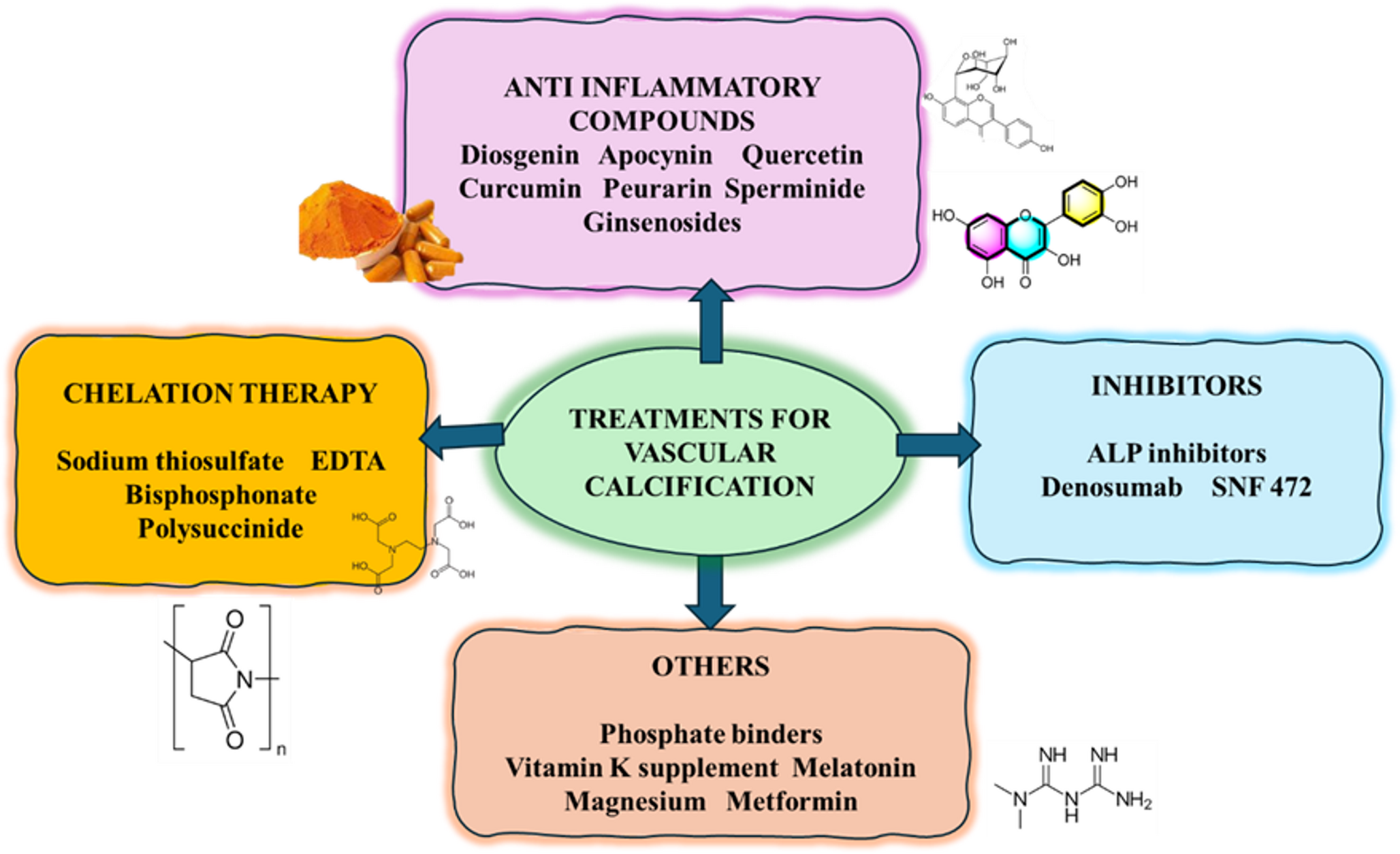 Decoding vascular calcification: mechanistic insights and translational strategies