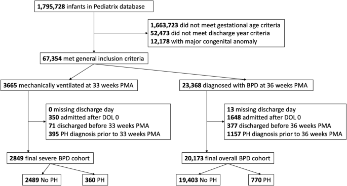 Predicting pulmonary hypertension in infants with bronchopulmonary dysplasia