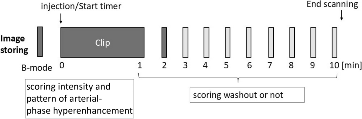 Differentiation of focal liver lesions in contrast-enhanced ultrasound using a heuristic-guided hybrid machine-learning framework