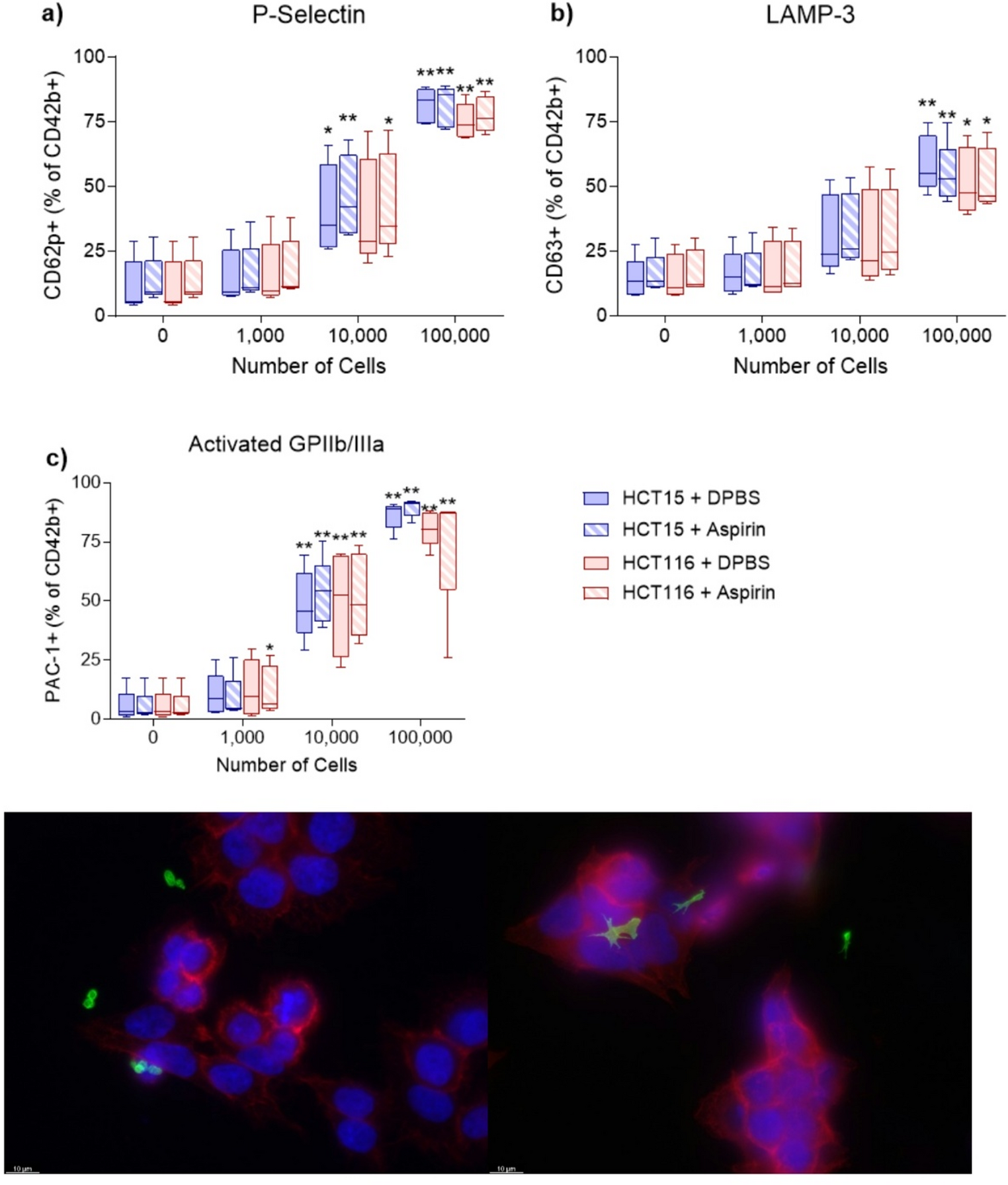 Investigating the effects of platelets, platelet releasate and aspirin on colorectal cancer cell proliferation, migration and invasion