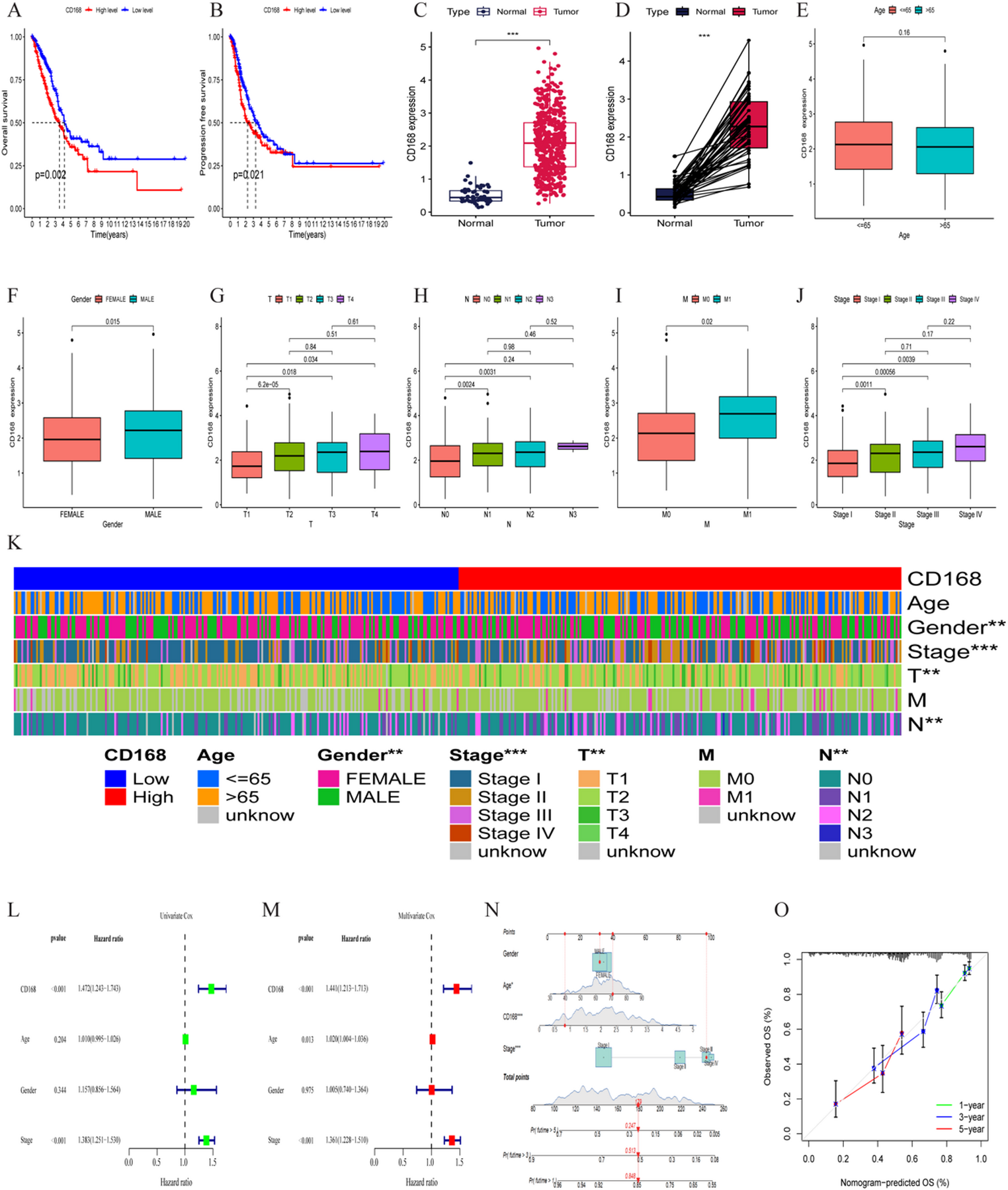 CD168 in lung adenocarcinoma: prognostic relevance, immune feature associations, and MAPK/ERK pathway enrichment