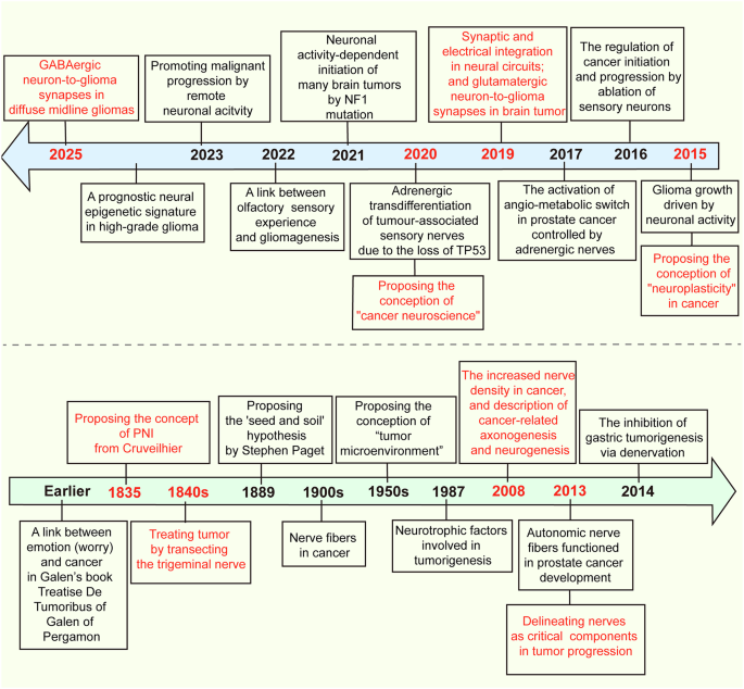 Cancer neuroscience: signaling pathways and new therapeutic strategies for cancer
