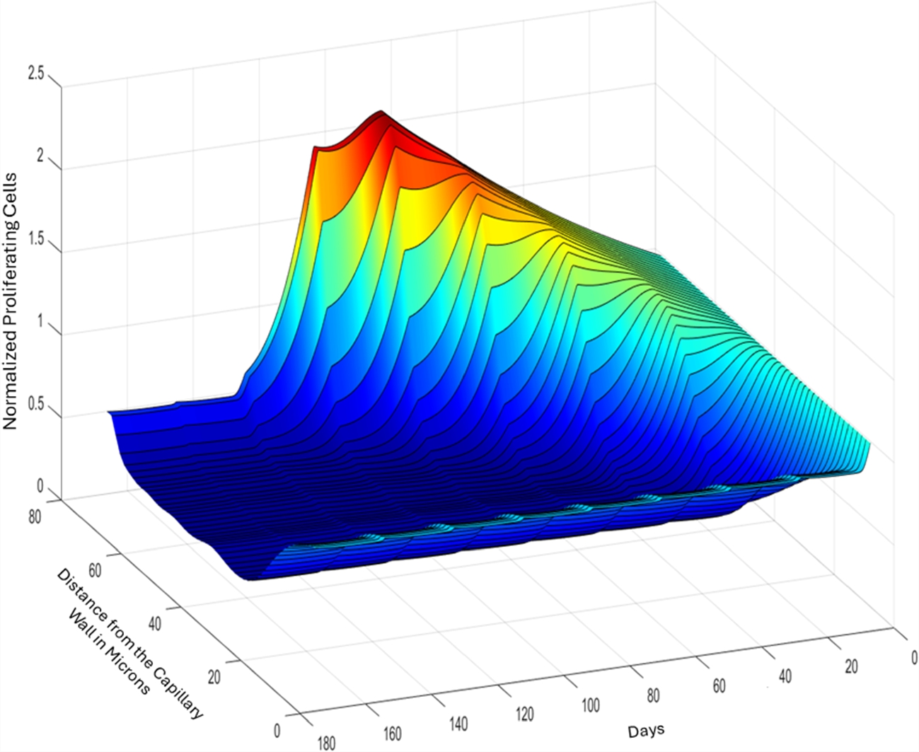 A QSP PDE model of ADC transport and kinetics in a growing or shrinking tumor