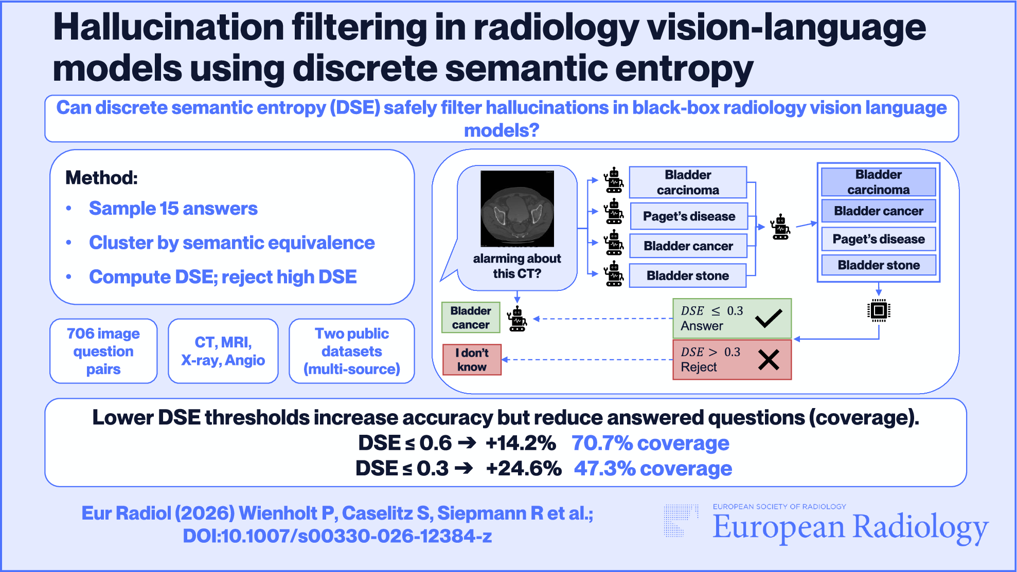 Hallucination filtering in radiology vision-language models using discrete semantic entropy