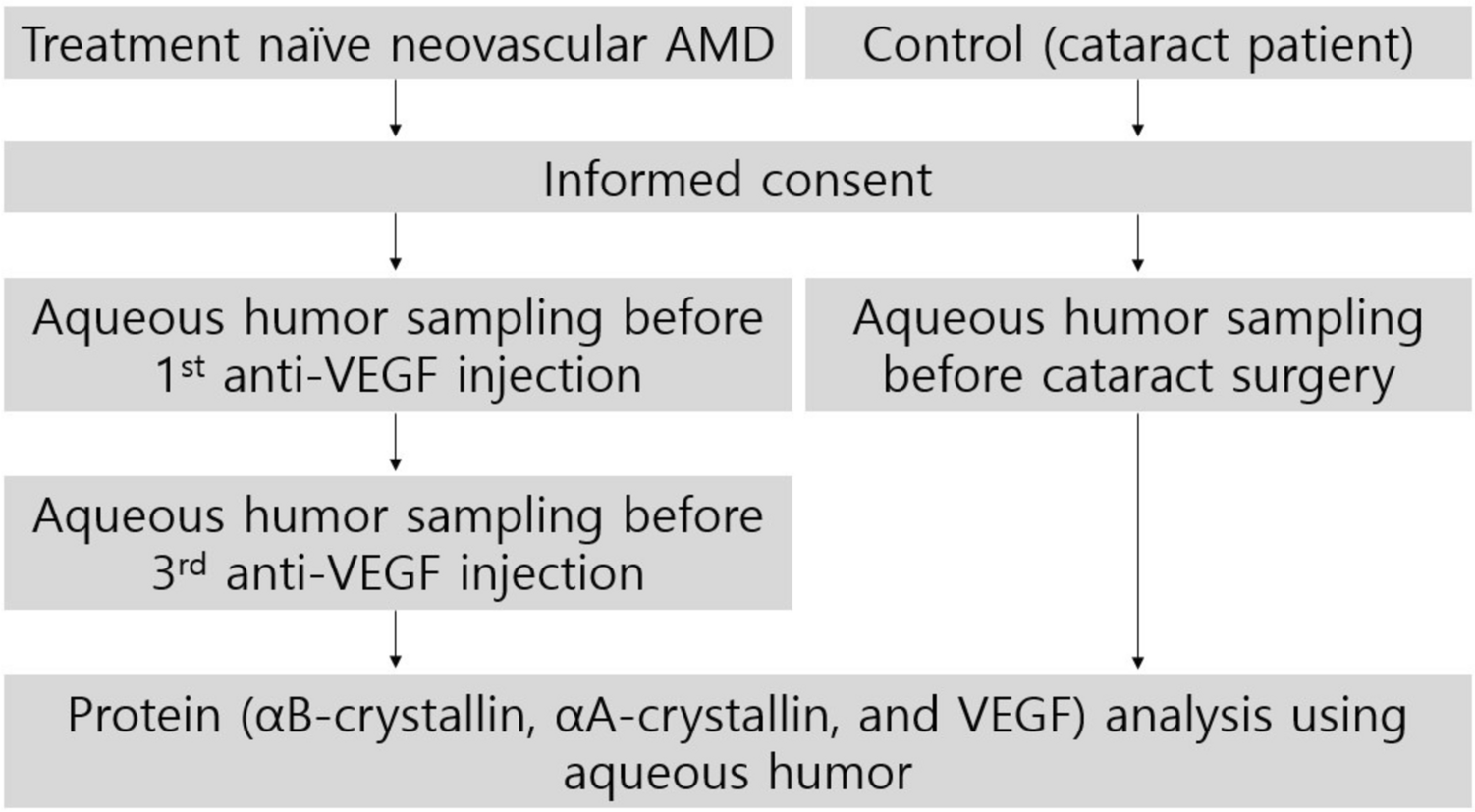 α-Crystallins and vascular endothelial growth factor in aqueous humor of patients with neovascular age-related macular degeneration