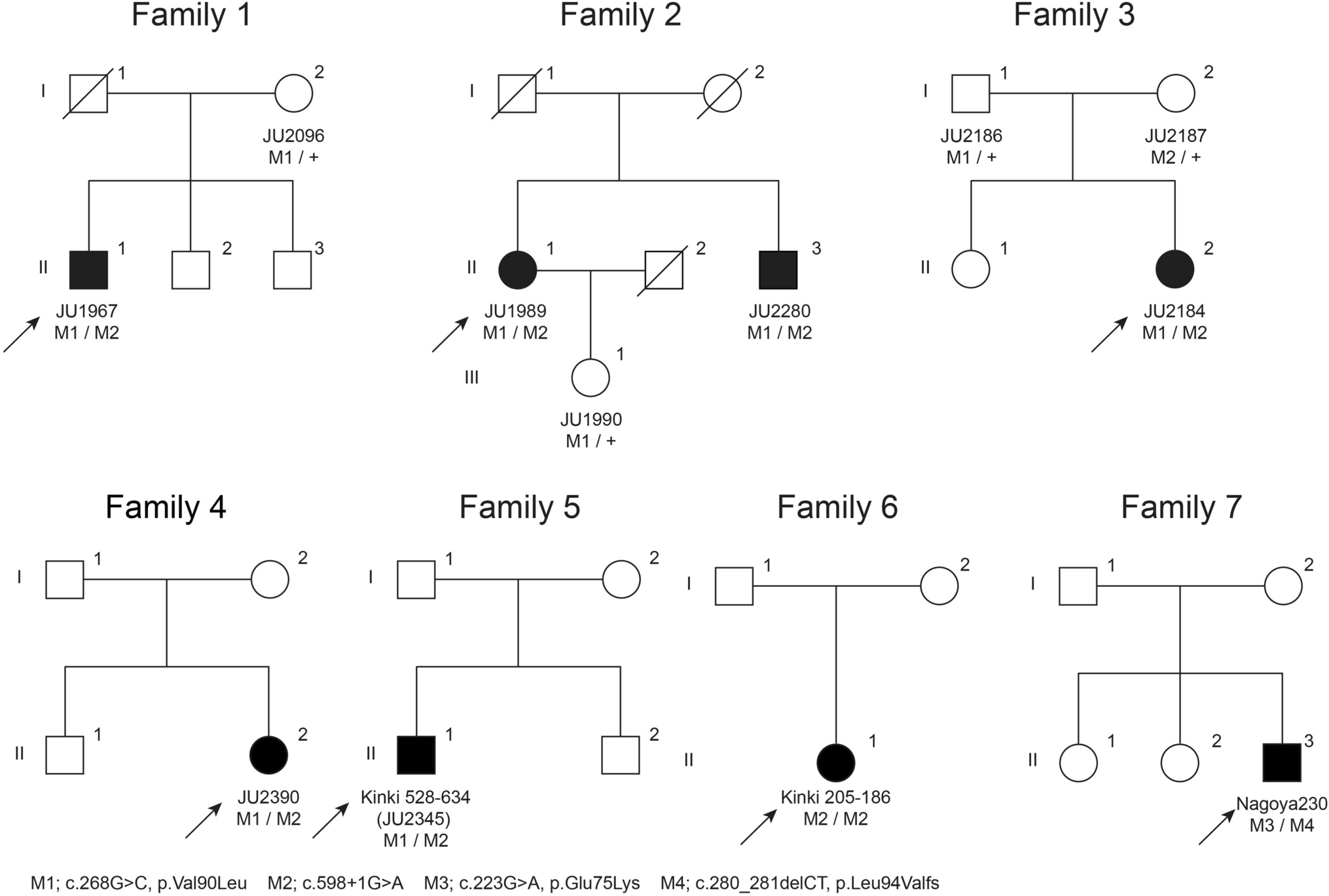 Clinical and genetic characterization of -associated retinopathy in a Japanese cohort
