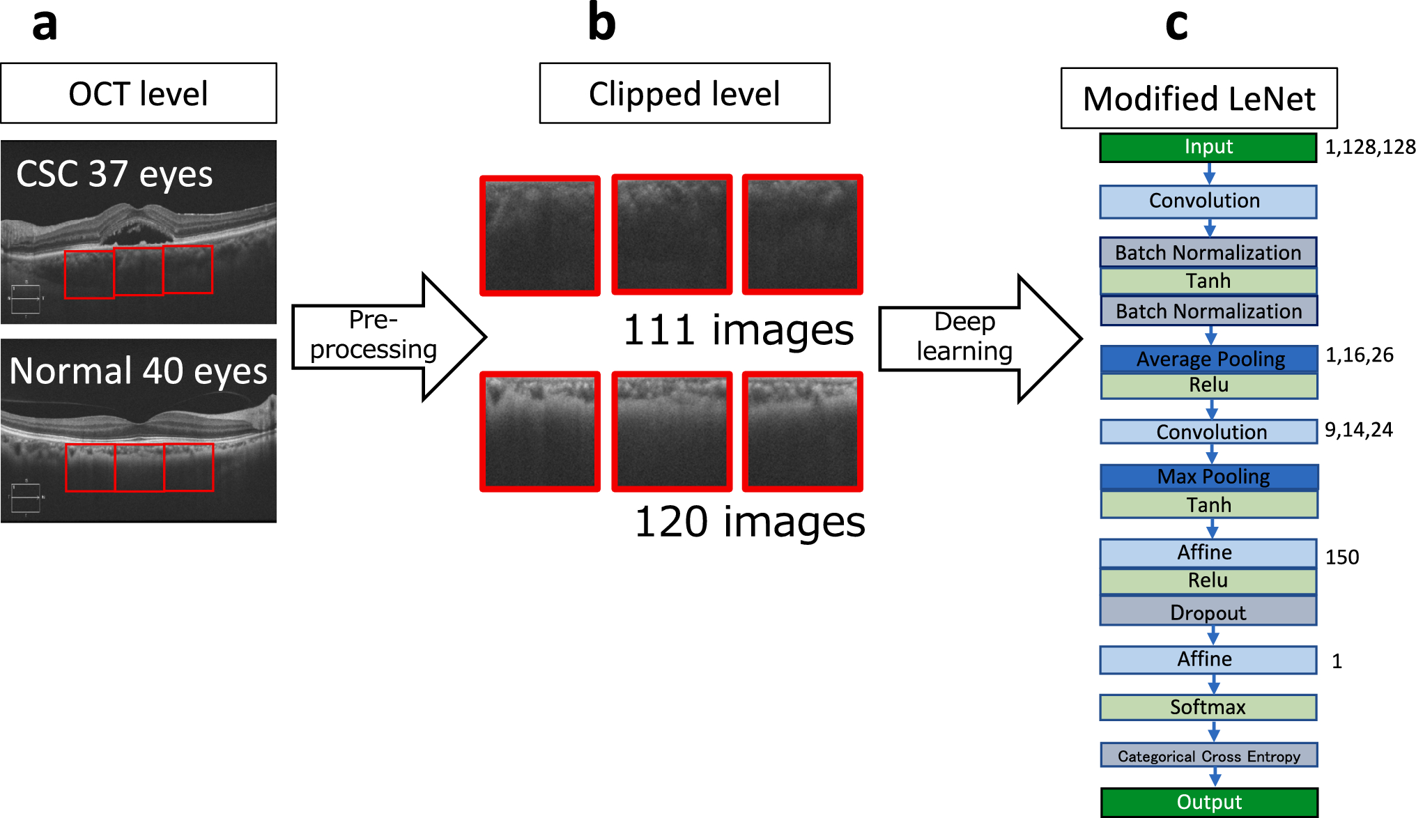 A deep learning-based pachychoroid index based on choroidal image patterns of central serous chorioretinopathy using enhanced-depth-imaging optical coherence tomography