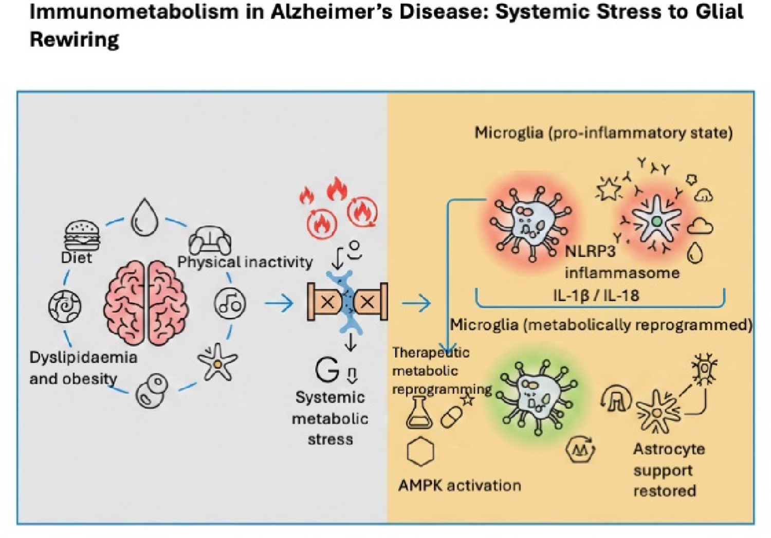 Immunometabolism Reframes Alzheimer’s Disease: From Systemic Dysmetabolism to Glial Rewiring