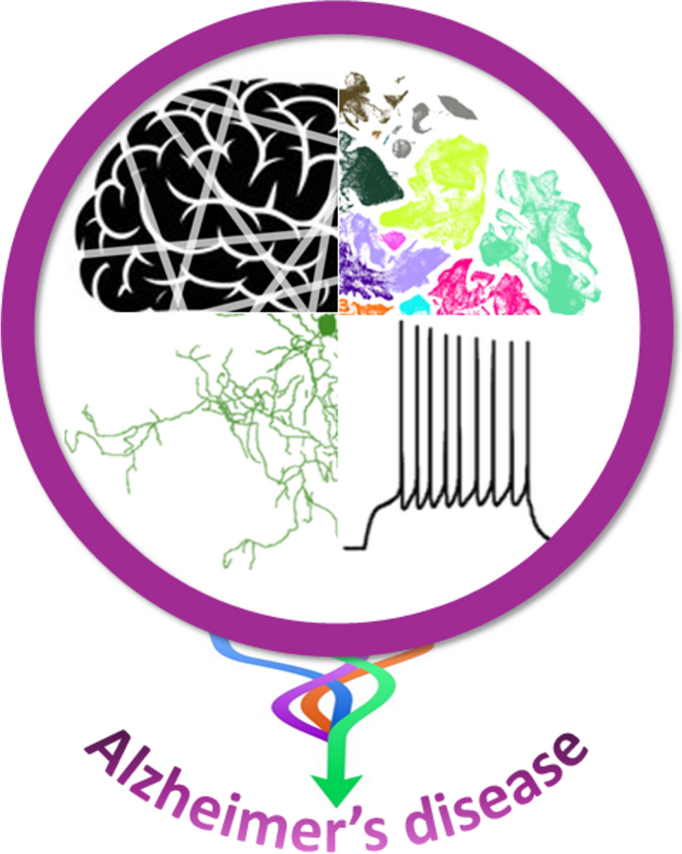 Decoding Alzheimer's Disease One Cell Class at a Time