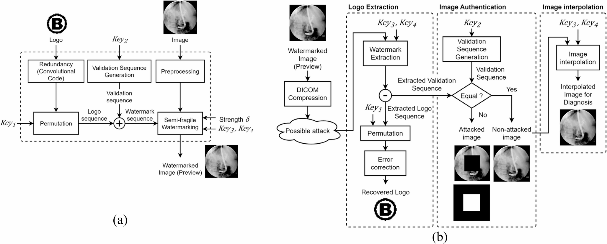 Copyright protection and tamper detection in medical images via a dual watermark scheme
