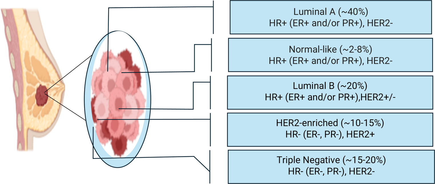 Role of laser therapy in enhancing chemotherapy efficiency in breast cancer: low level laser therapy, photochemotherapy, and photodynamic therapy as promising treatments