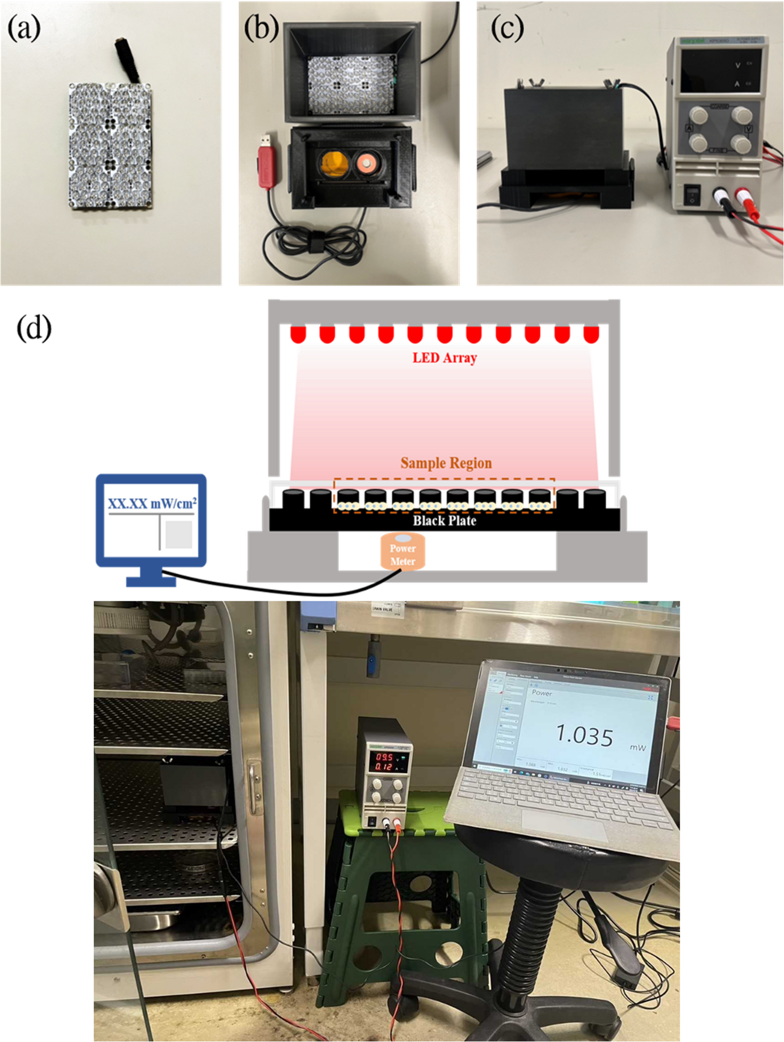 Enhancing human-induced pluripotent stem cell proliferation and cardiac differentiation through 810-nm photobiomodulation