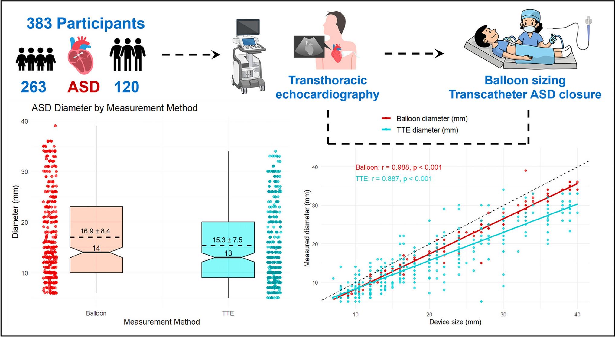 Transthoracic echocardiography measurement versus balloon occlusive diameter for atrial septal defect: experience from a Vietnamese cohort (Vietnamese cohort: TTE vs balloon ASD sizing)